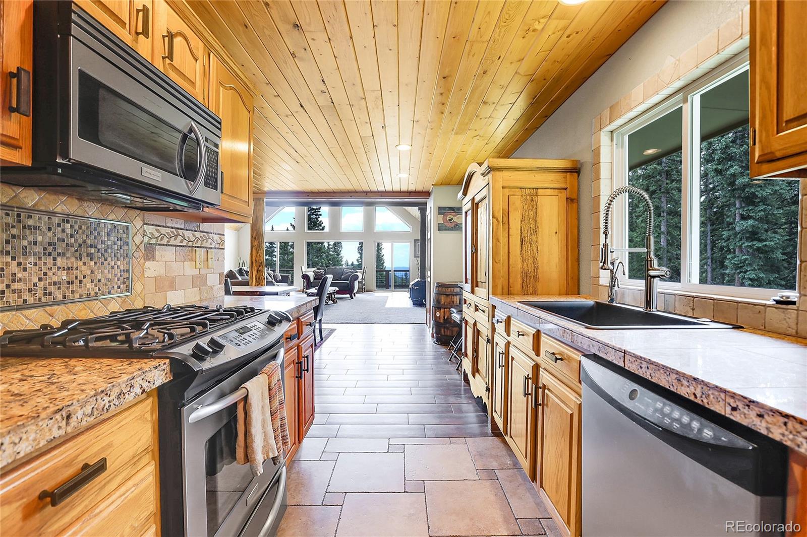 MLS Image #17 for 1176  raven ridge road,idaho springs, Colorado