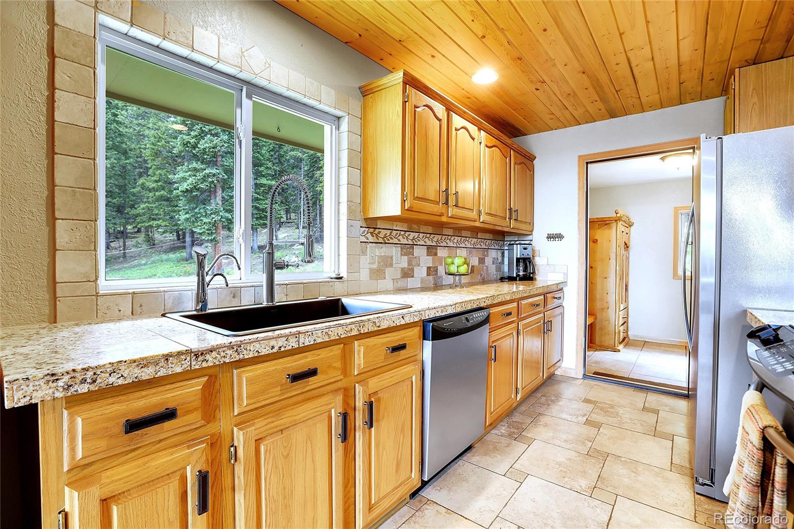 MLS Image #18 for 1176  raven ridge road,idaho springs, Colorado