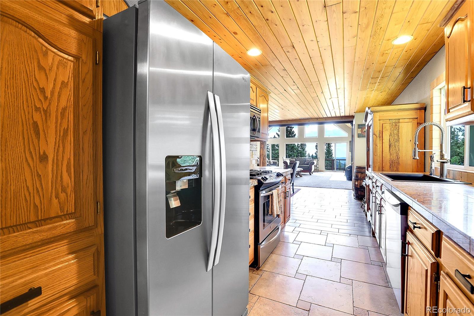 MLS Image #19 for 1176  raven ridge road,idaho springs, Colorado