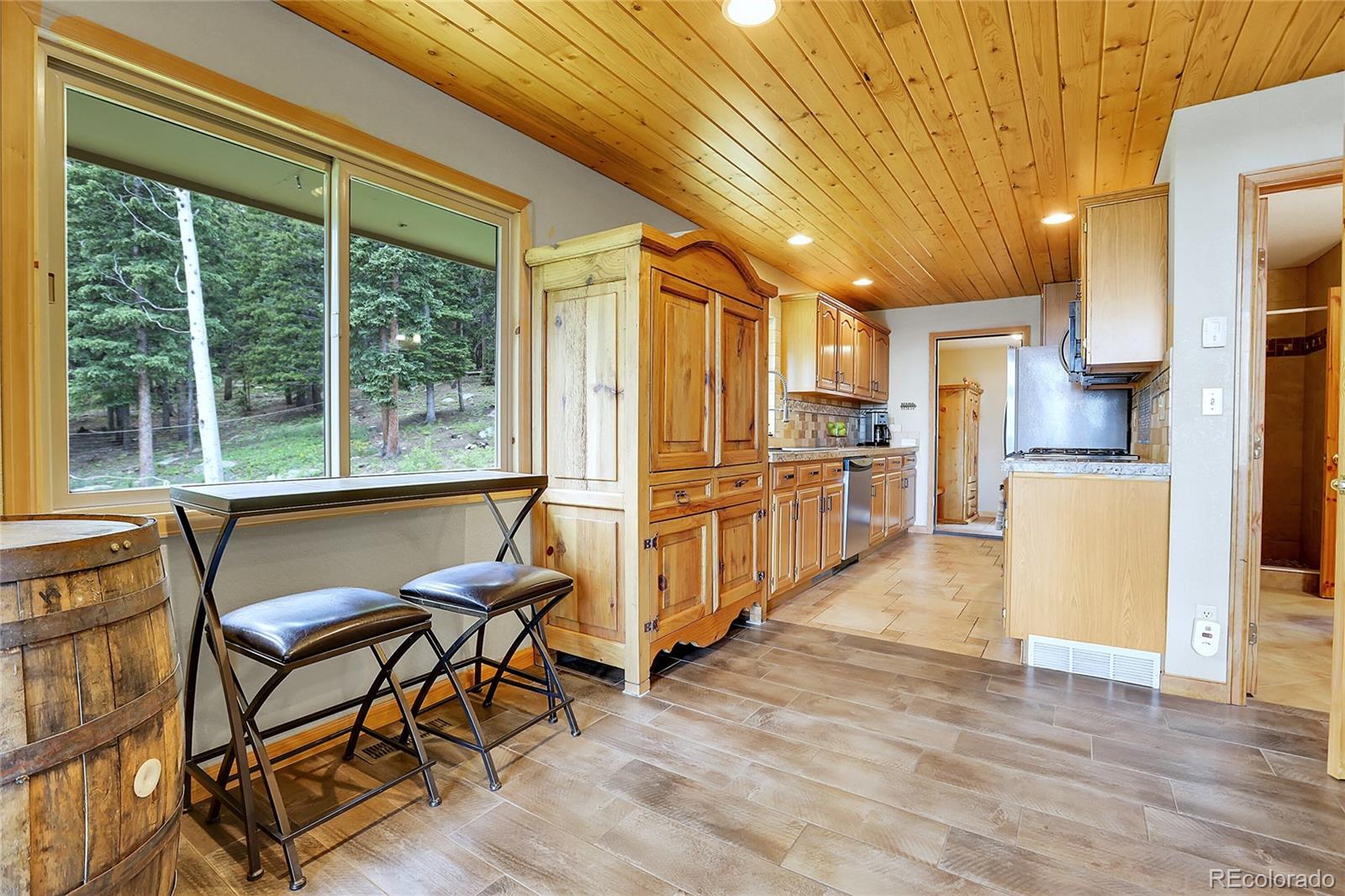 MLS Image #22 for 1176  raven ridge road,idaho springs, Colorado