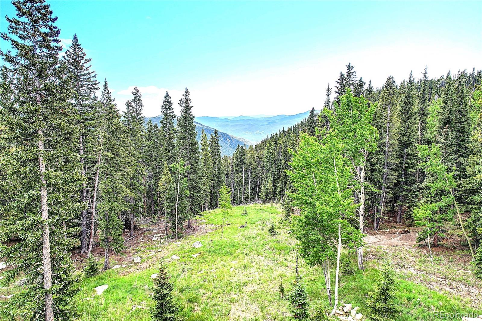 MLS Image #30 for 1176  raven ridge road,idaho springs, Colorado