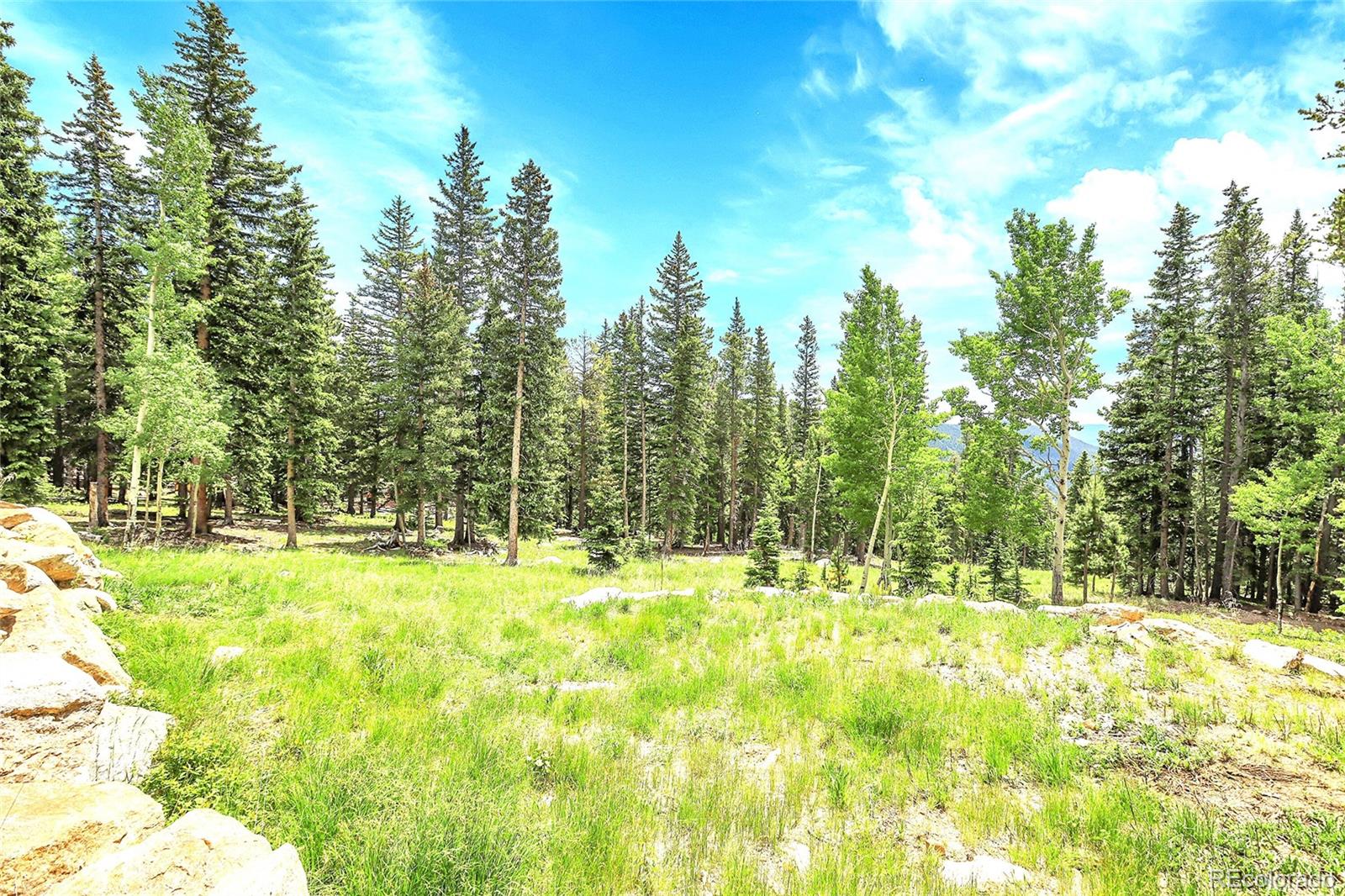 MLS Image #39 for 1176  raven ridge road,idaho springs, Colorado