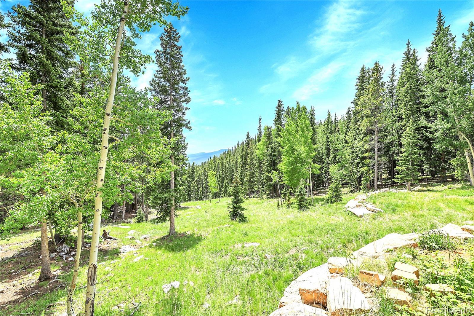 MLS Image #4 for 1176  raven ridge road,idaho springs, Colorado