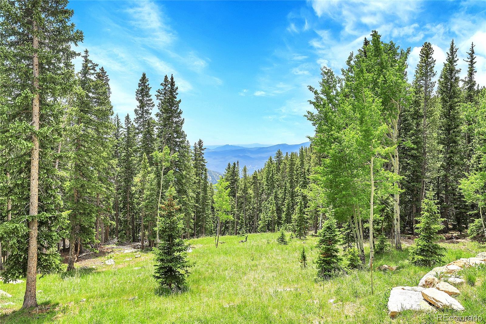 MLS Image #42 for 1176  raven ridge road,idaho springs, Colorado
