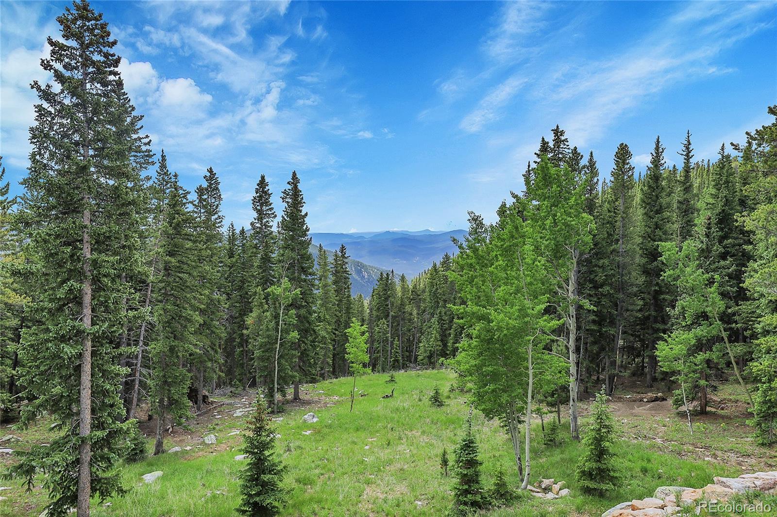MLS Image #43 for 1176  raven ridge road,idaho springs, Colorado