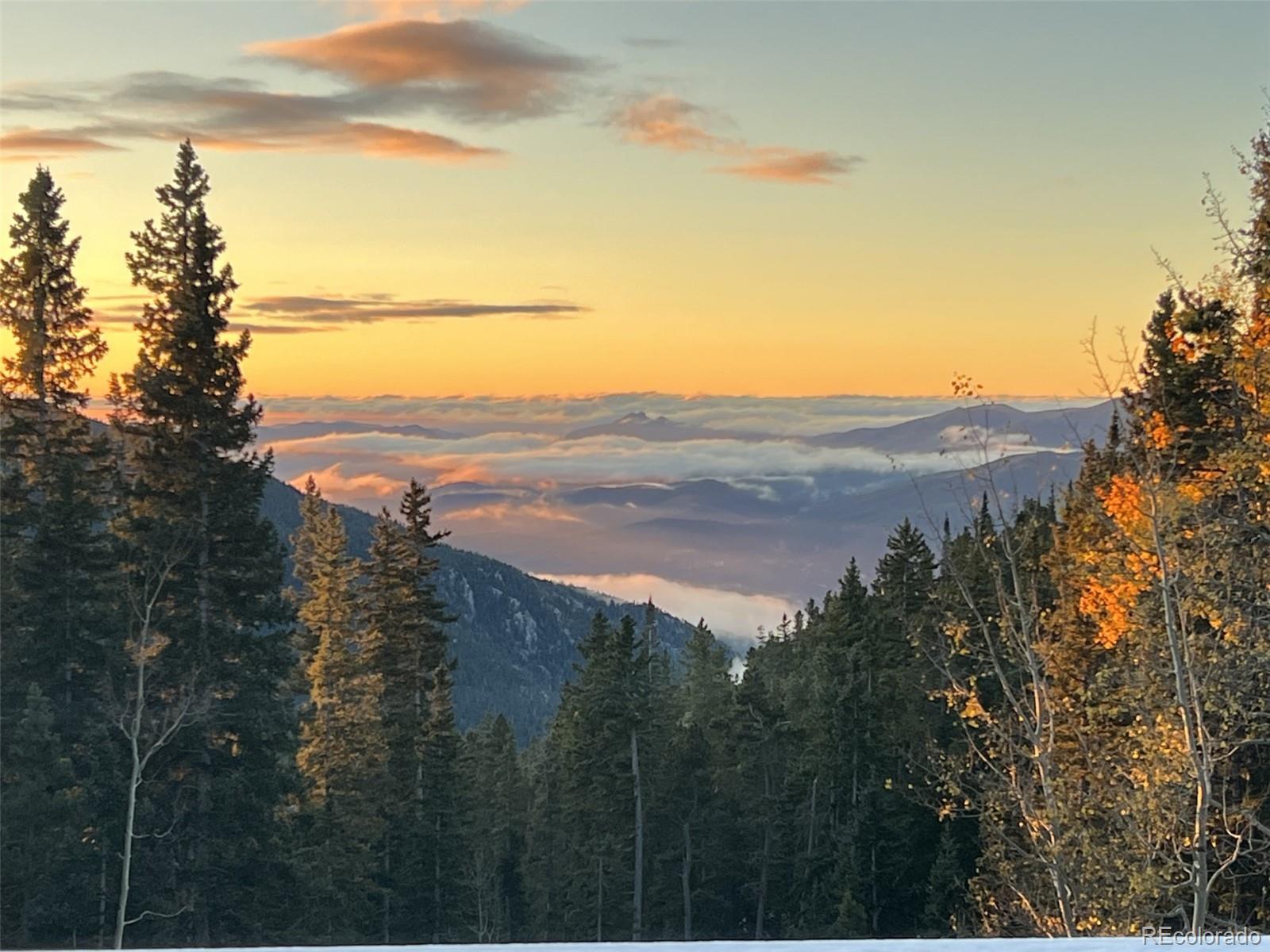 MLS Image #46 for 1176  raven ridge road,idaho springs, Colorado