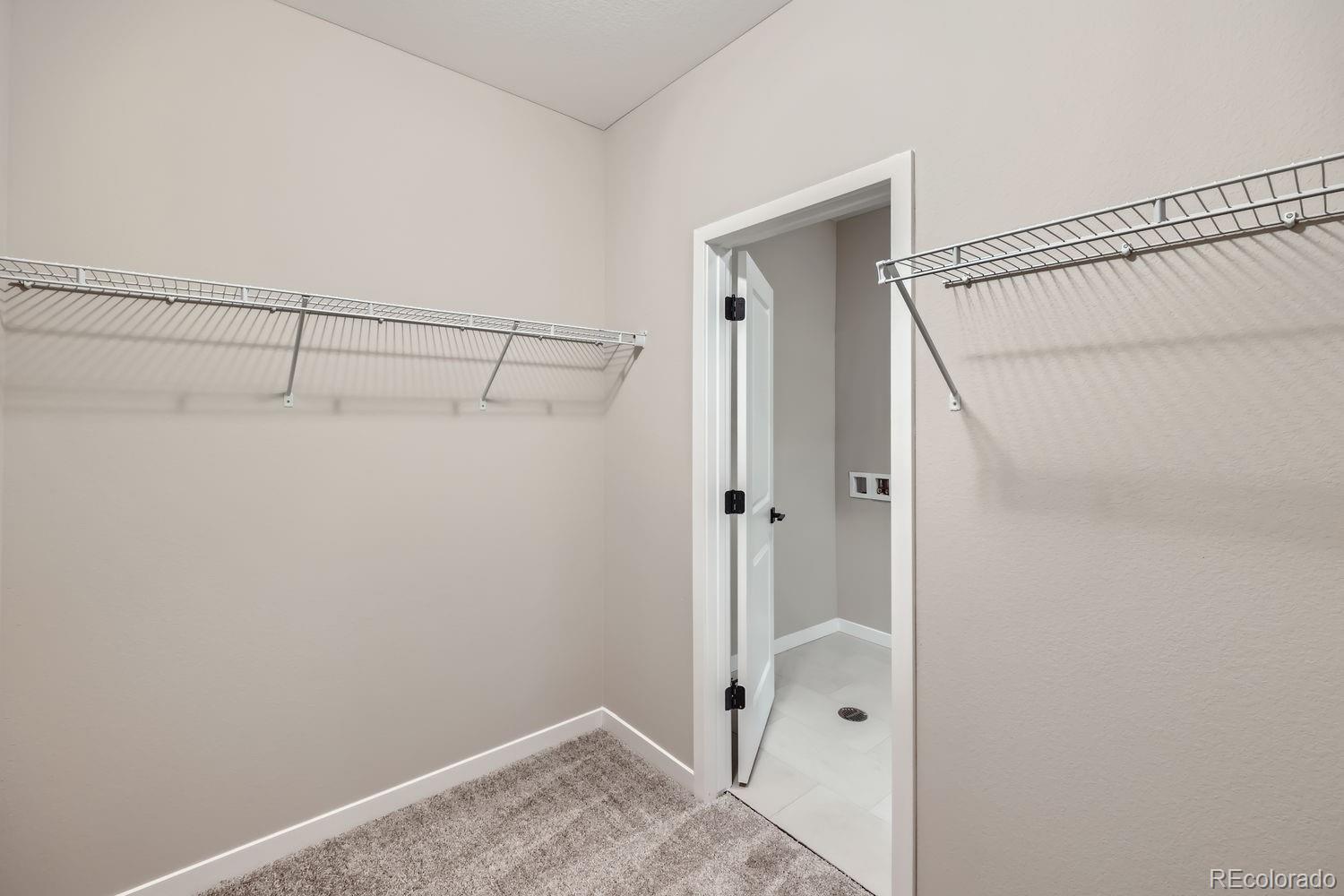 MLS Image #19 for 9627  browns peak circle,littleton, Colorado