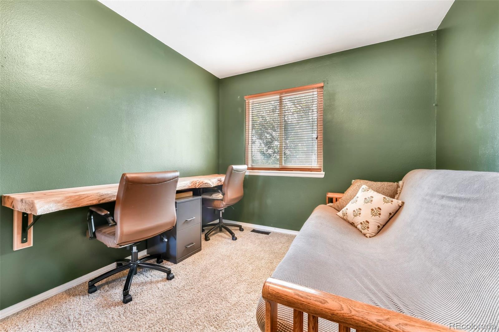 MLS Image #44 for 1024  bromefield drive,fountain, Colorado