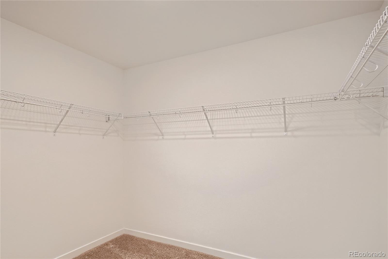 MLS Image #16 for 13832  honey hush trail,parker, Colorado