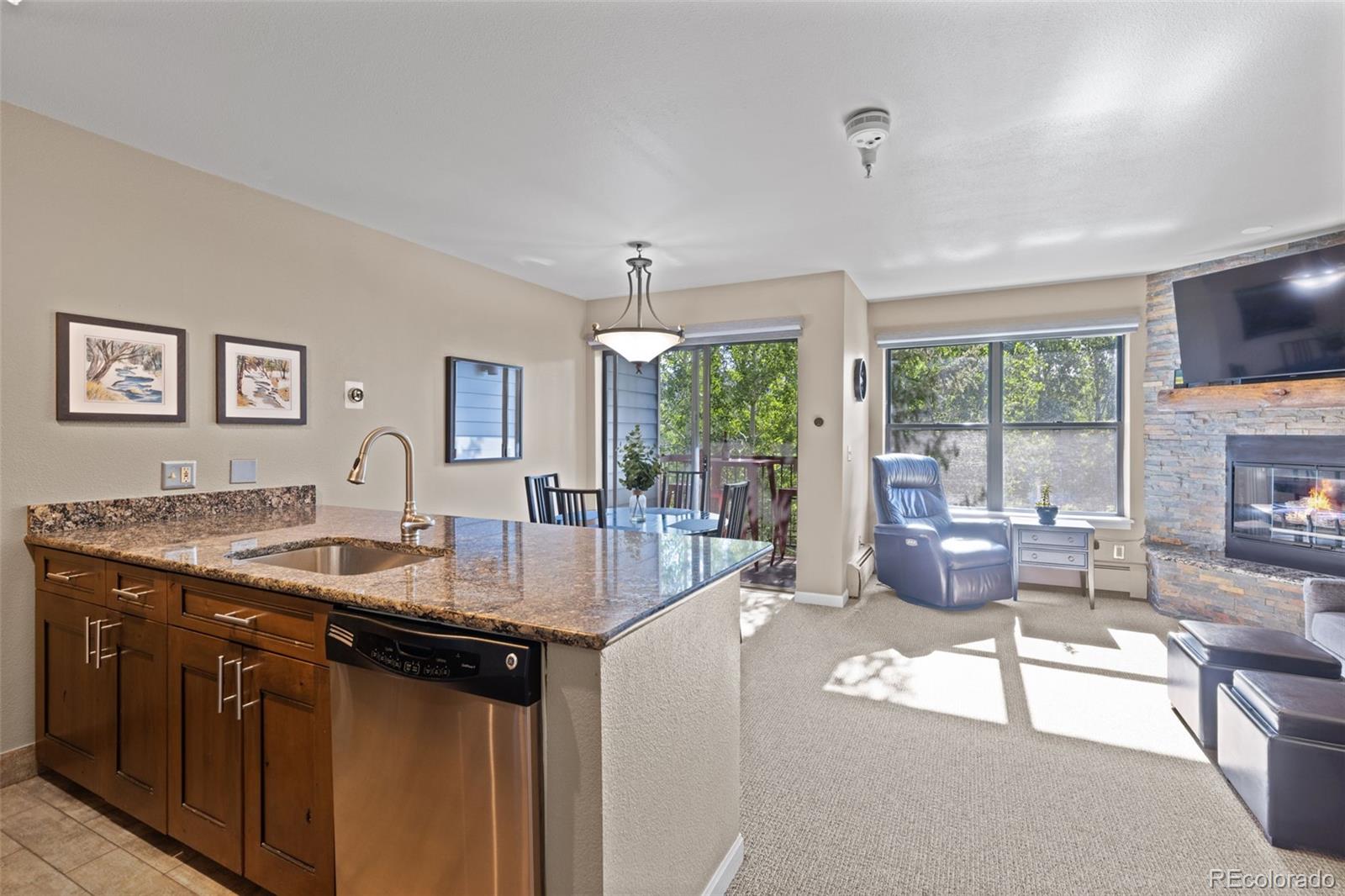 MLS Image #19 for 100 s park avenue,breckenridge, Colorado