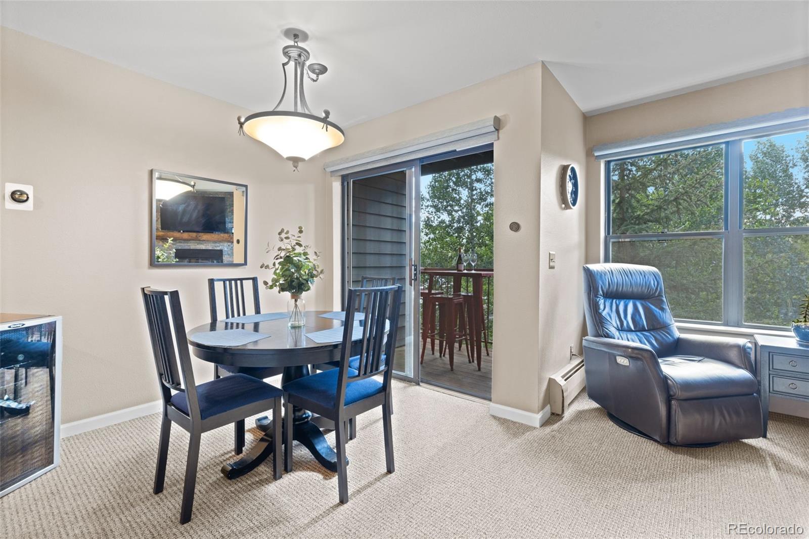 MLS Image #20 for 100 s park avenue,breckenridge, Colorado
