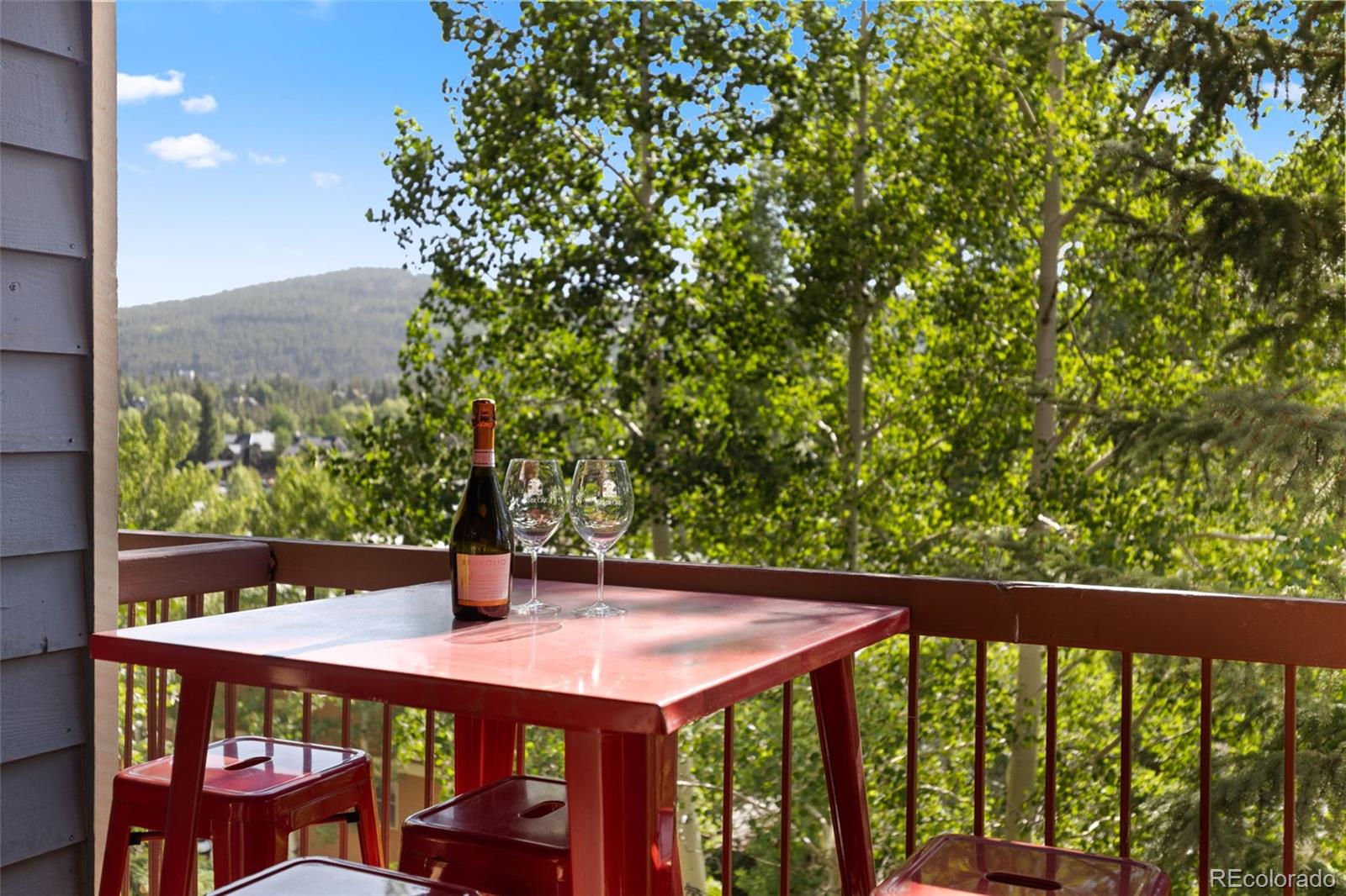 MLS Image #21 for 100 s park avenue,breckenridge, Colorado