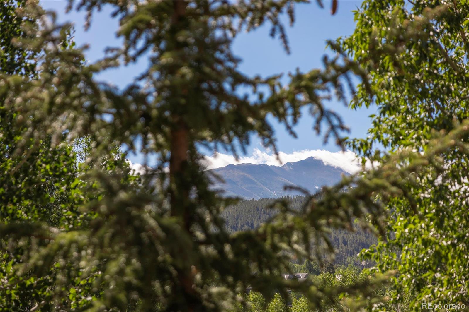 MLS Image #22 for 100 s park avenue,breckenridge, Colorado