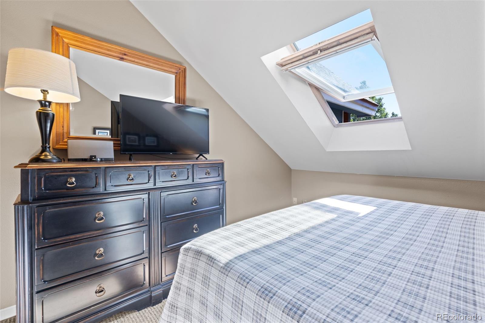 MLS Image #27 for 100 s park avenue,breckenridge, Colorado