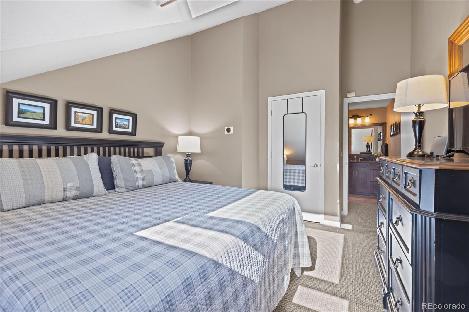 MLS Image #28 for 100 s park avenue,breckenridge, Colorado