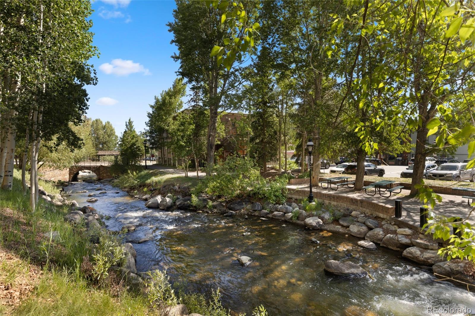 MLS Image #32 for 100 s park avenue,breckenridge, Colorado
