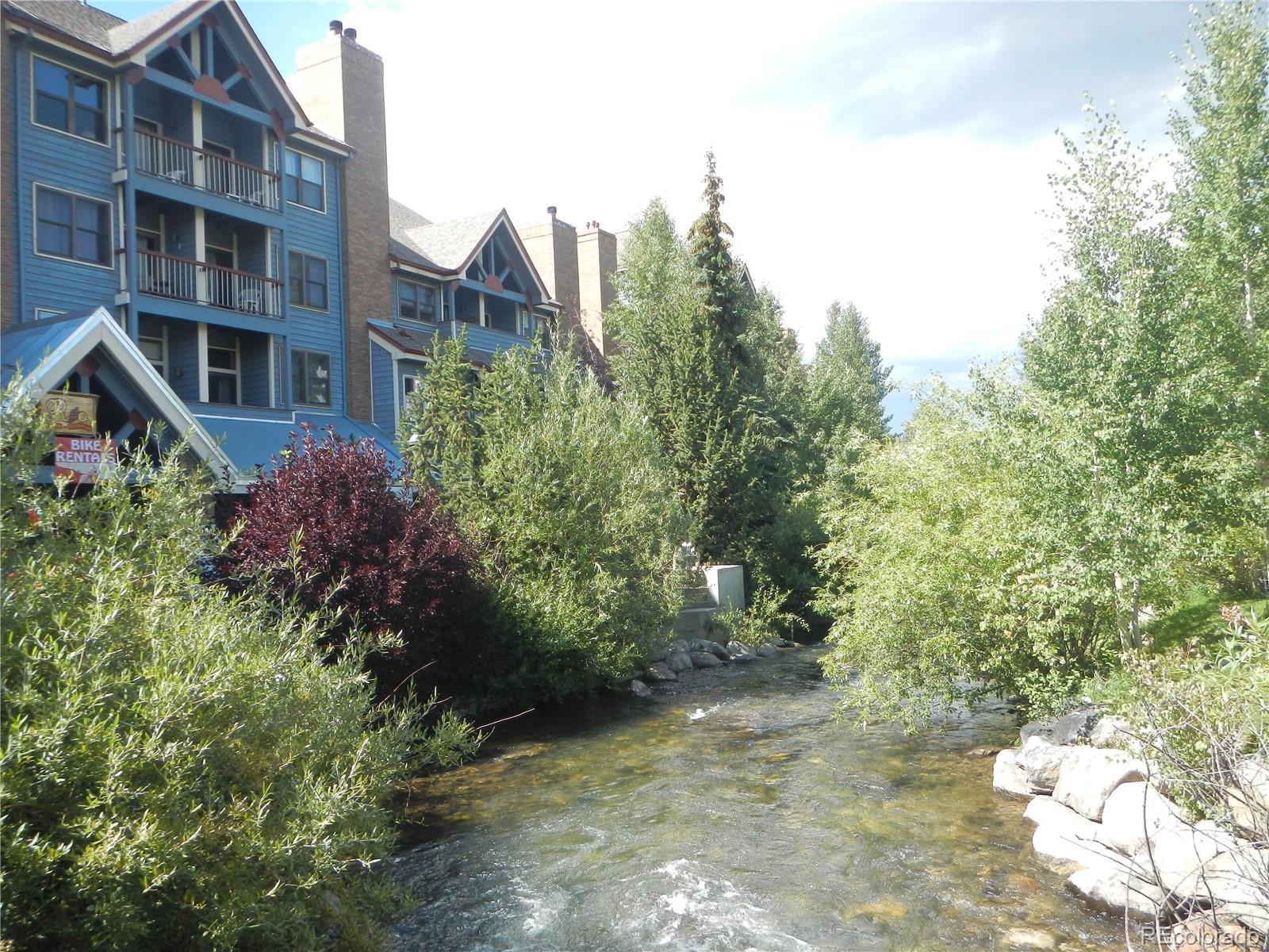 MLS Image #4 for 100 s park avenue,breckenridge, Colorado