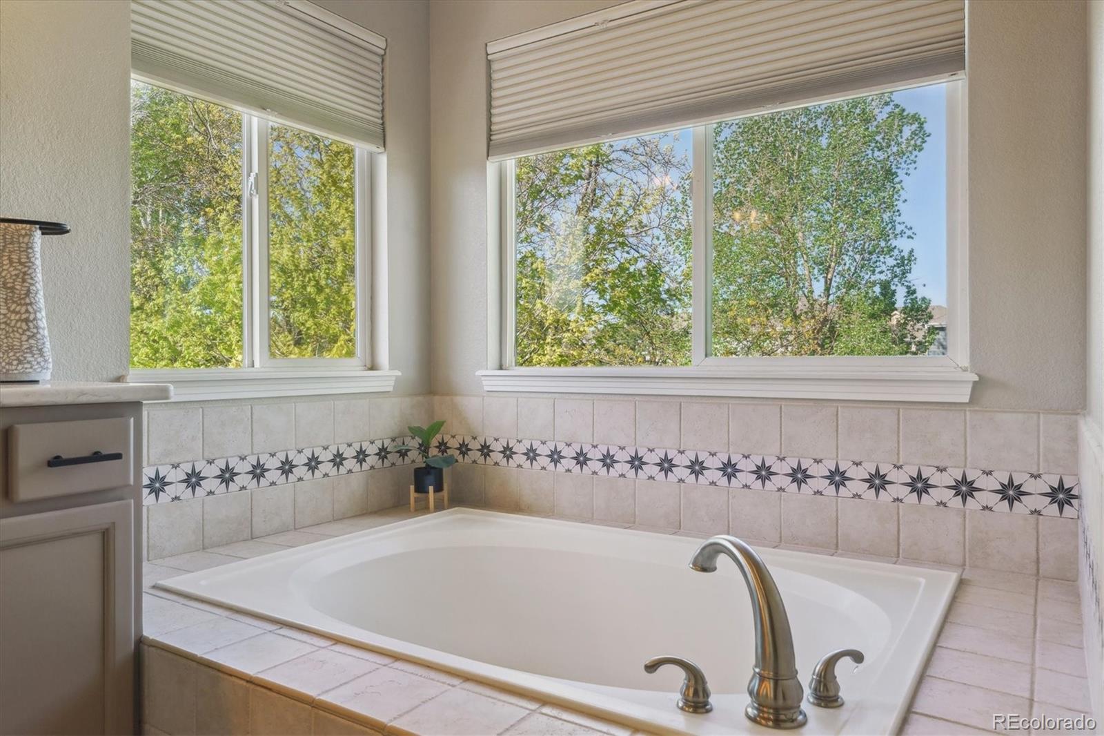 MLS Image #14 for 10155  riverstone drive,parker, Colorado