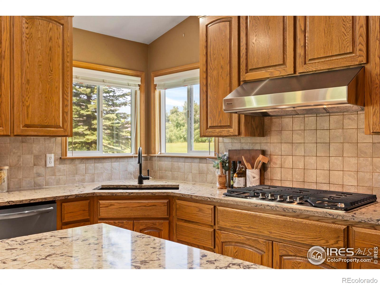 MLS Image #14 for 4988  hames court,loveland, Colorado