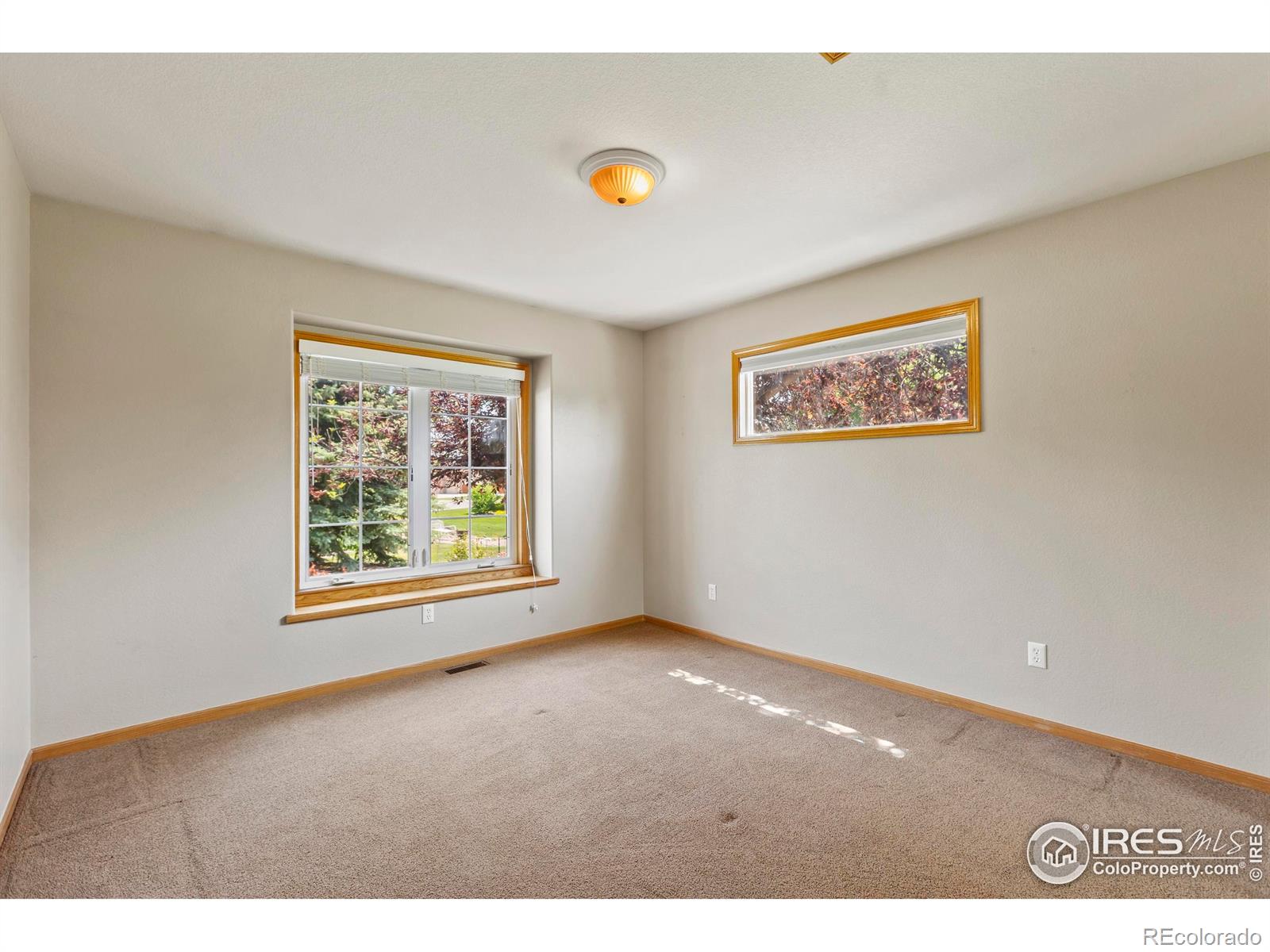 MLS Image #22 for 4988  hames court,loveland, Colorado