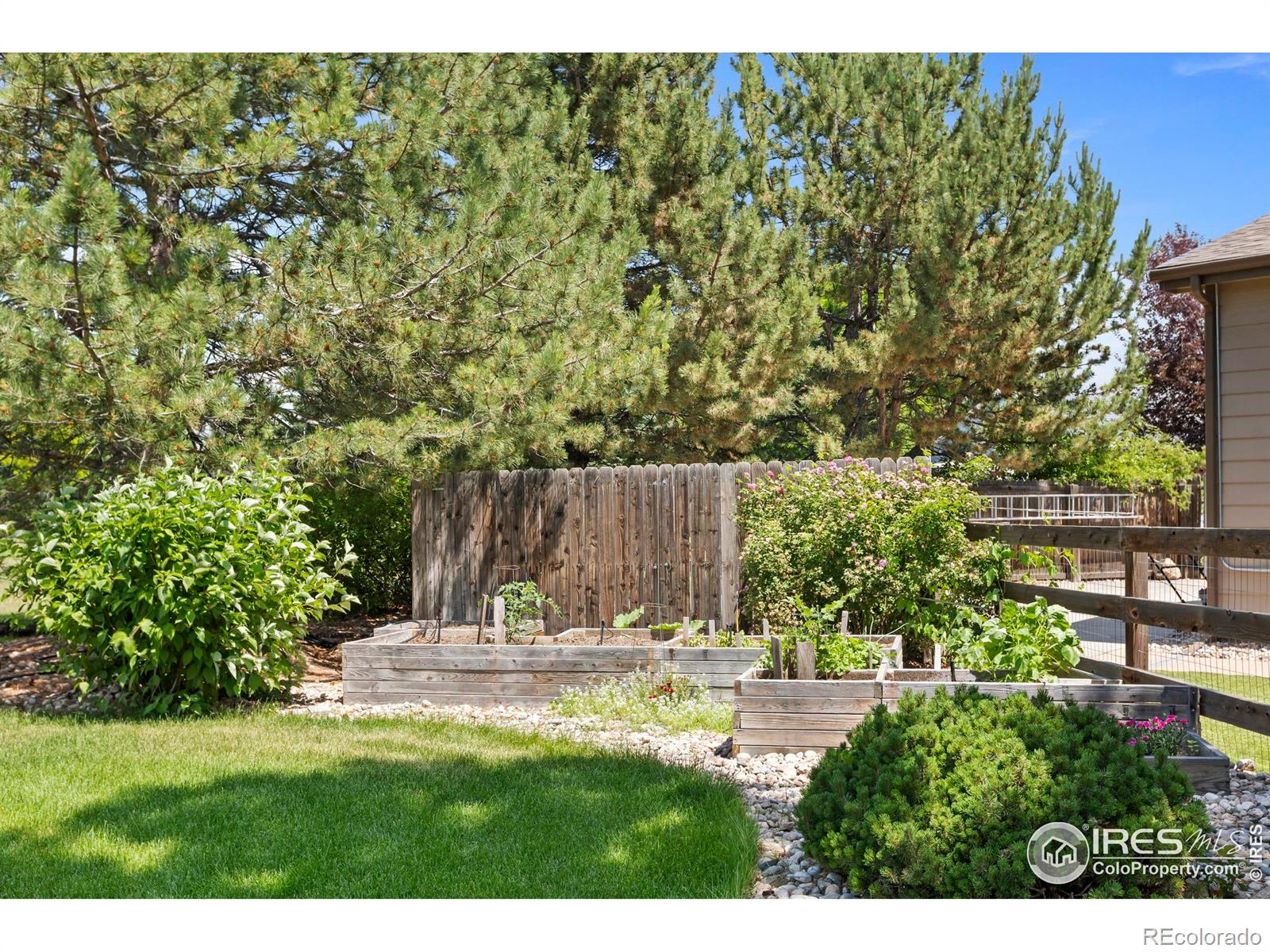 MLS Image #32 for 4988  hames court,loveland, Colorado