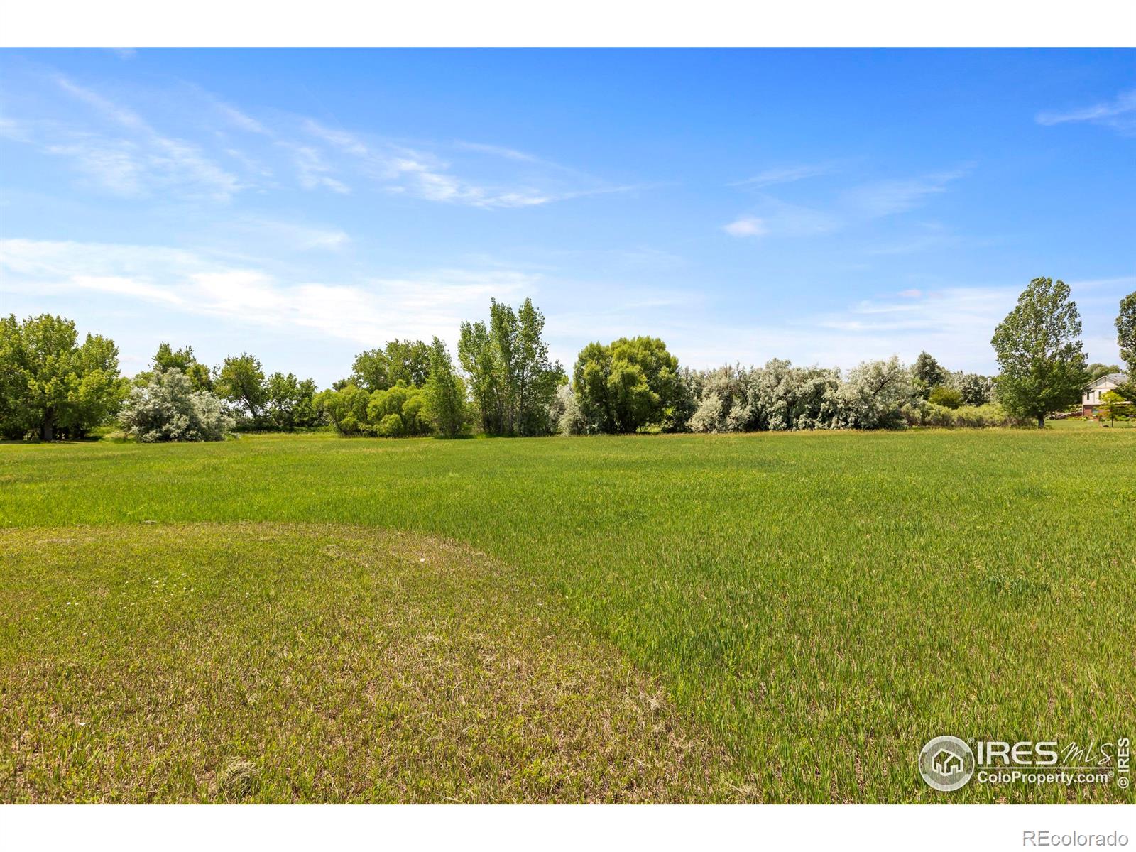 MLS Image #36 for 4988  hames court,loveland, Colorado