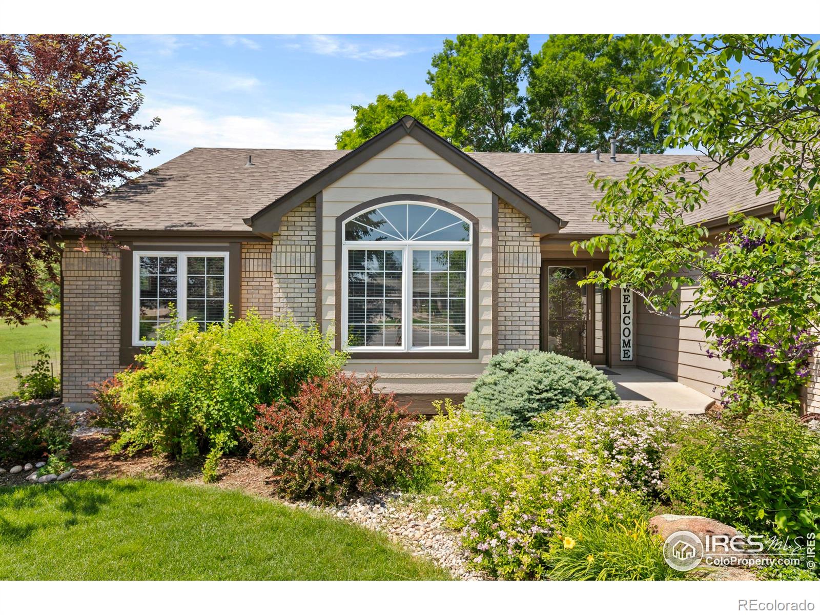 MLS Image #4 for 4988  hames court,loveland, Colorado