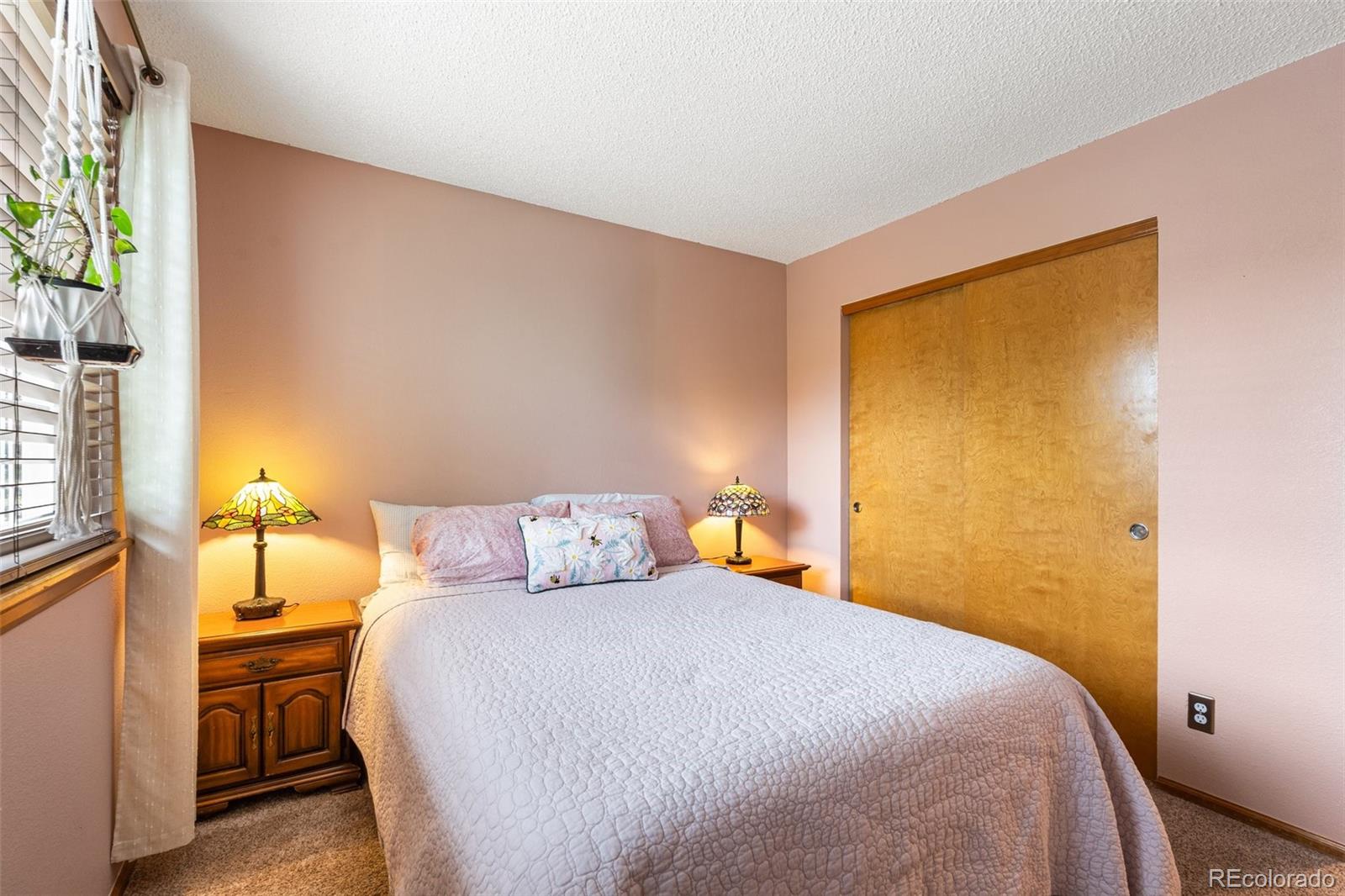 MLS Image #21 for 11313  haswell drive,parker, Colorado