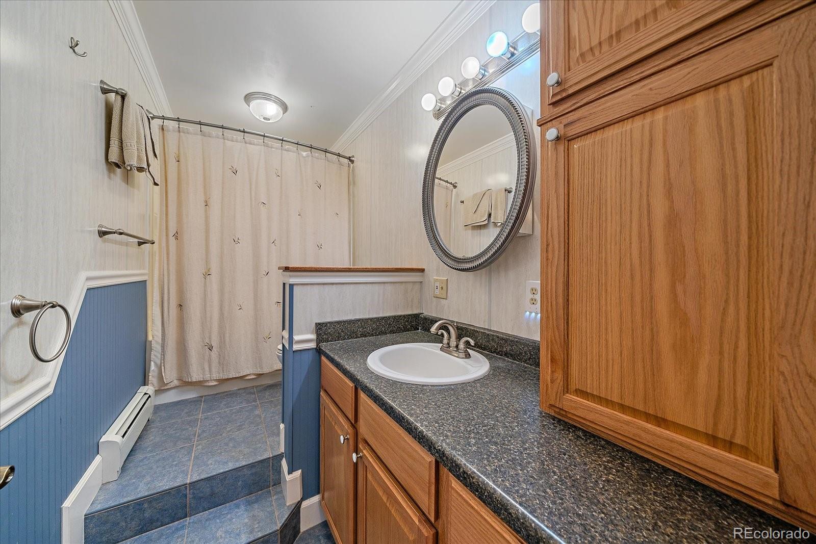 MLS Image #42 for 31231  red hawk trail,conifer, Colorado