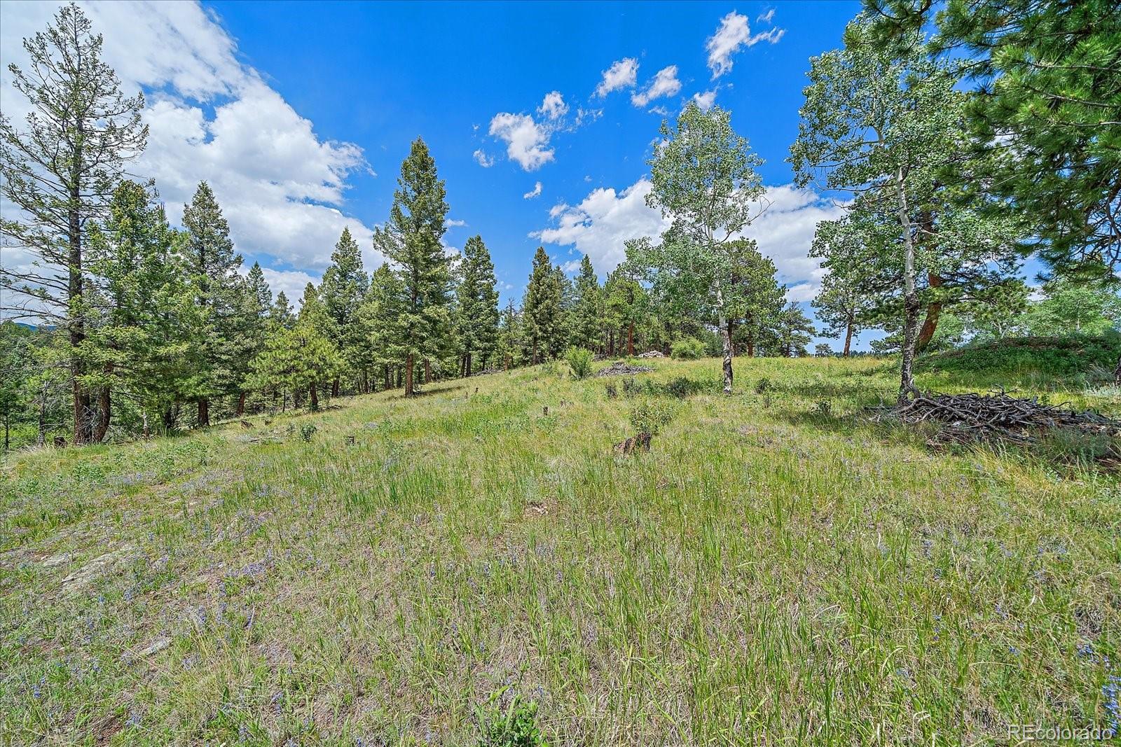 MLS Image #47 for 31231  red hawk trail,conifer, Colorado