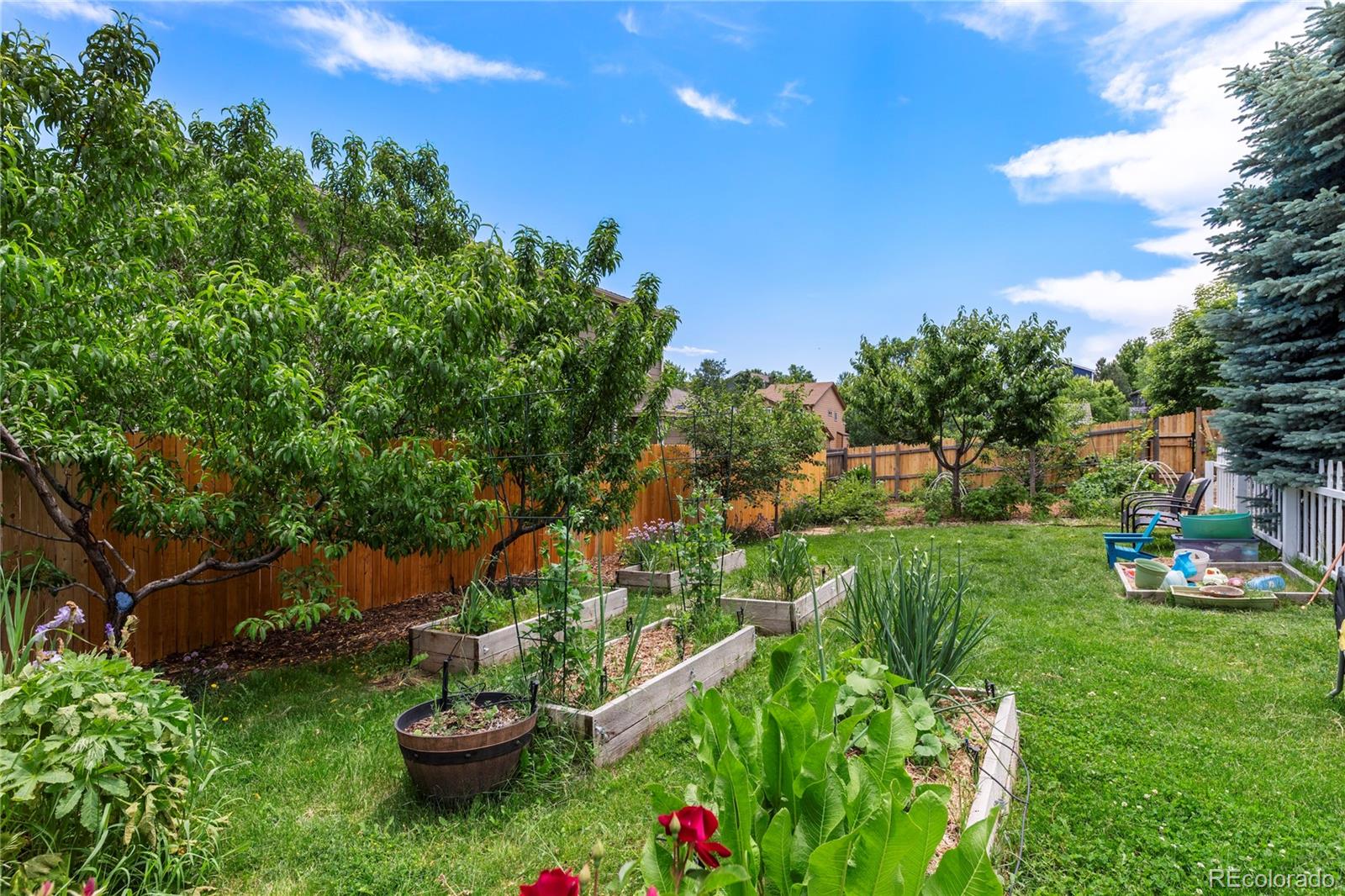 MLS Image #42 for 21885  whirlaway avenue,parker, Colorado