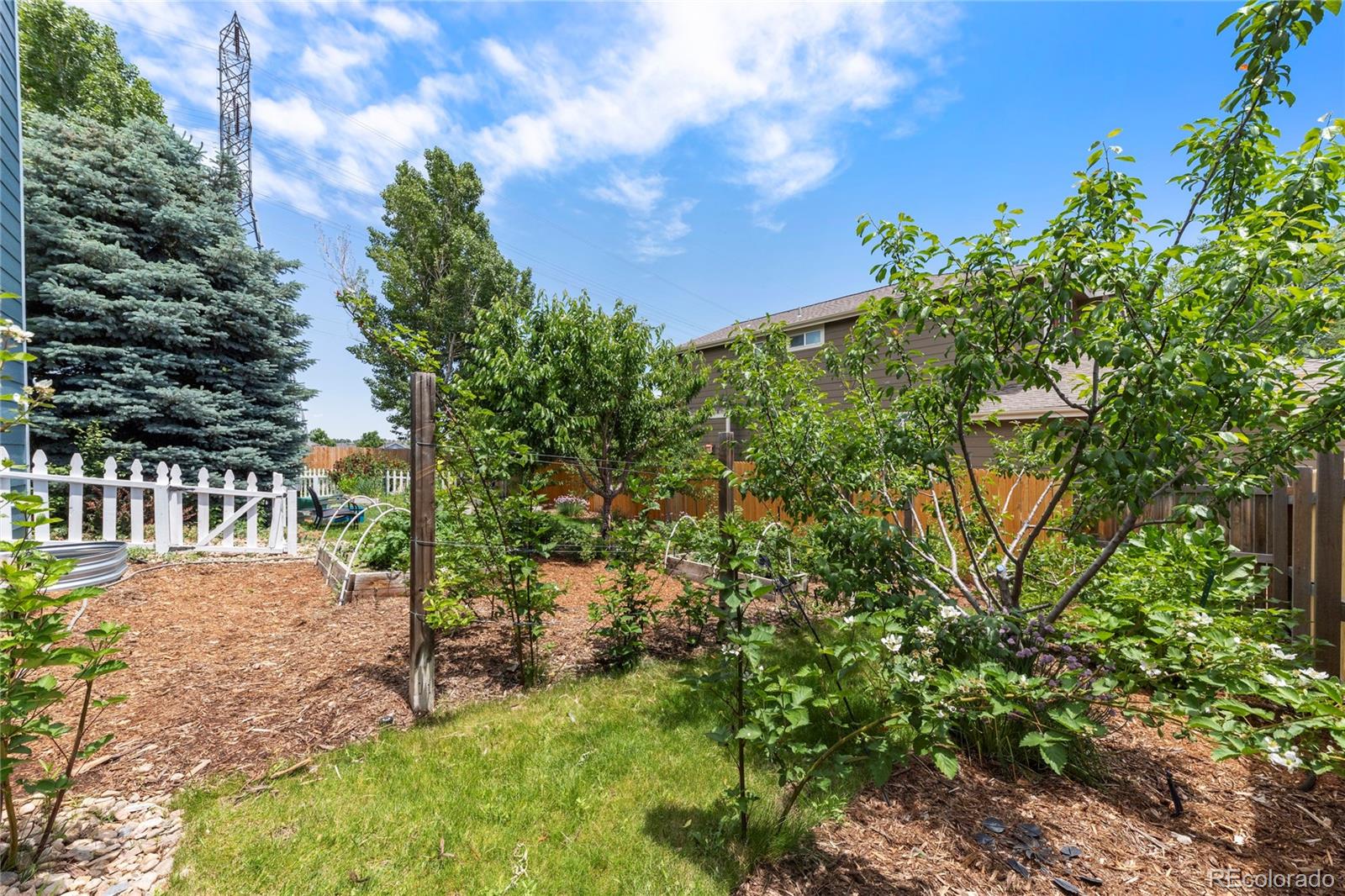 MLS Image #44 for 21885  whirlaway avenue,parker, Colorado