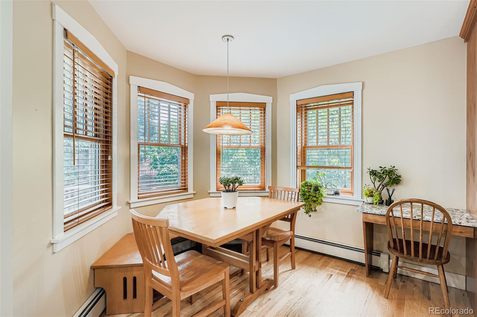 MLS Image #14 for 510 s race street,denver, Colorado