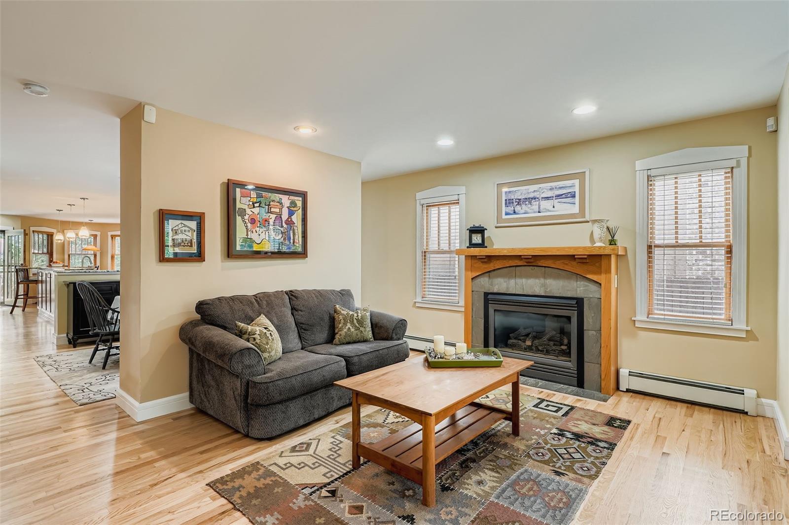 MLS Image #6 for 510 s race street,denver, Colorado