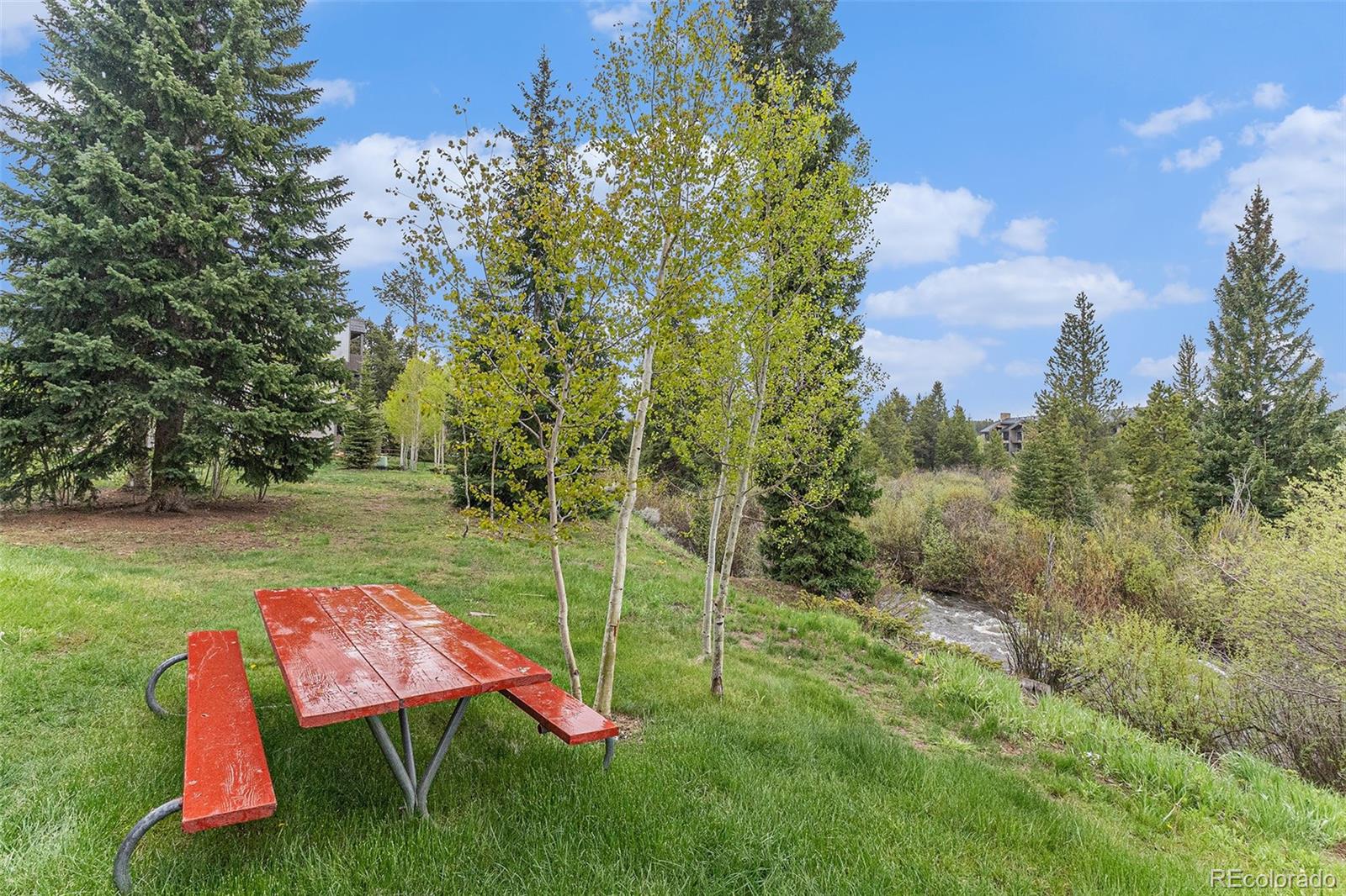 MLS Image #18 for 507  hi country drive,winter park, Colorado