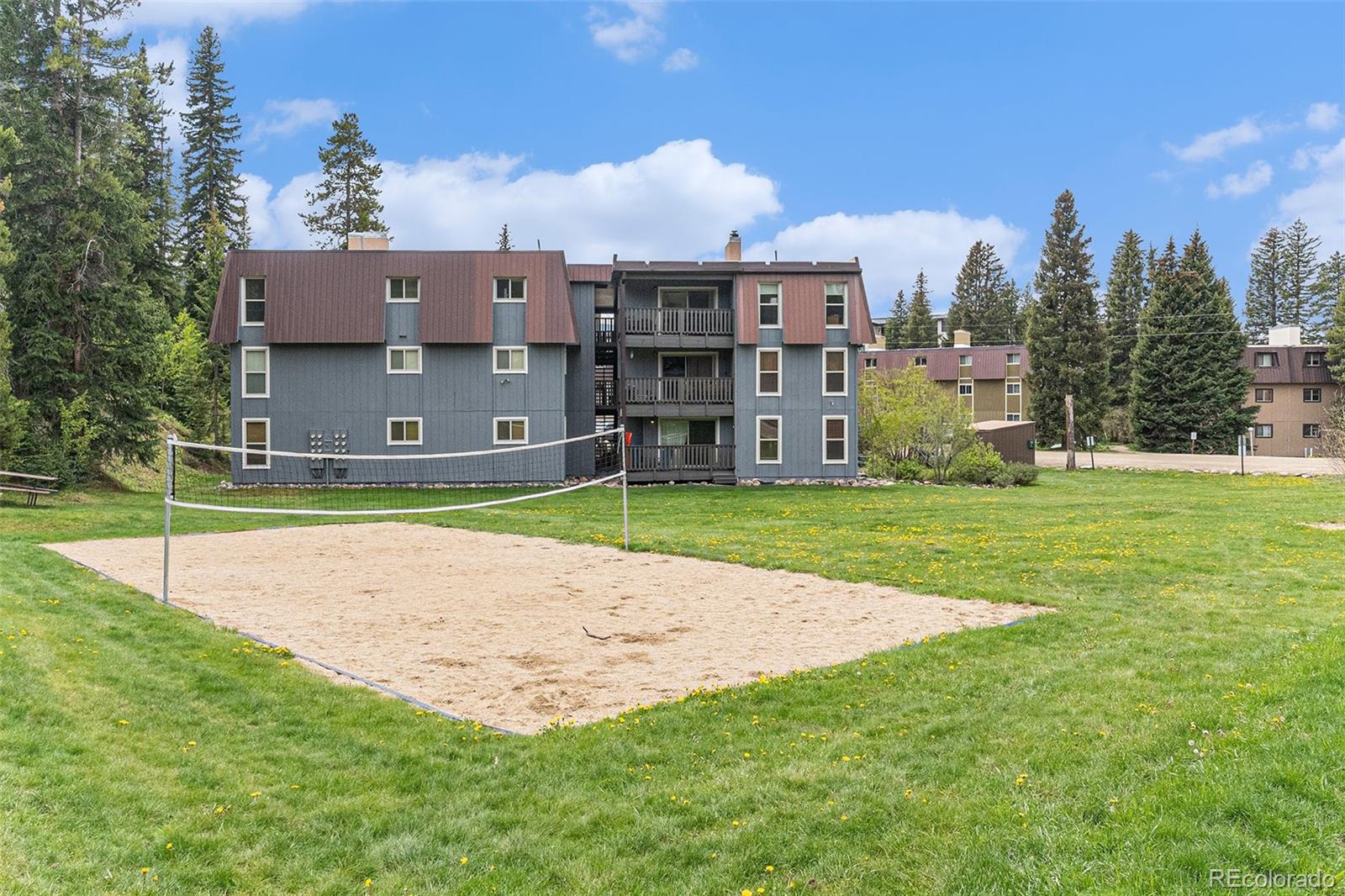 MLS Image #19 for 507  hi country drive,winter park, Colorado