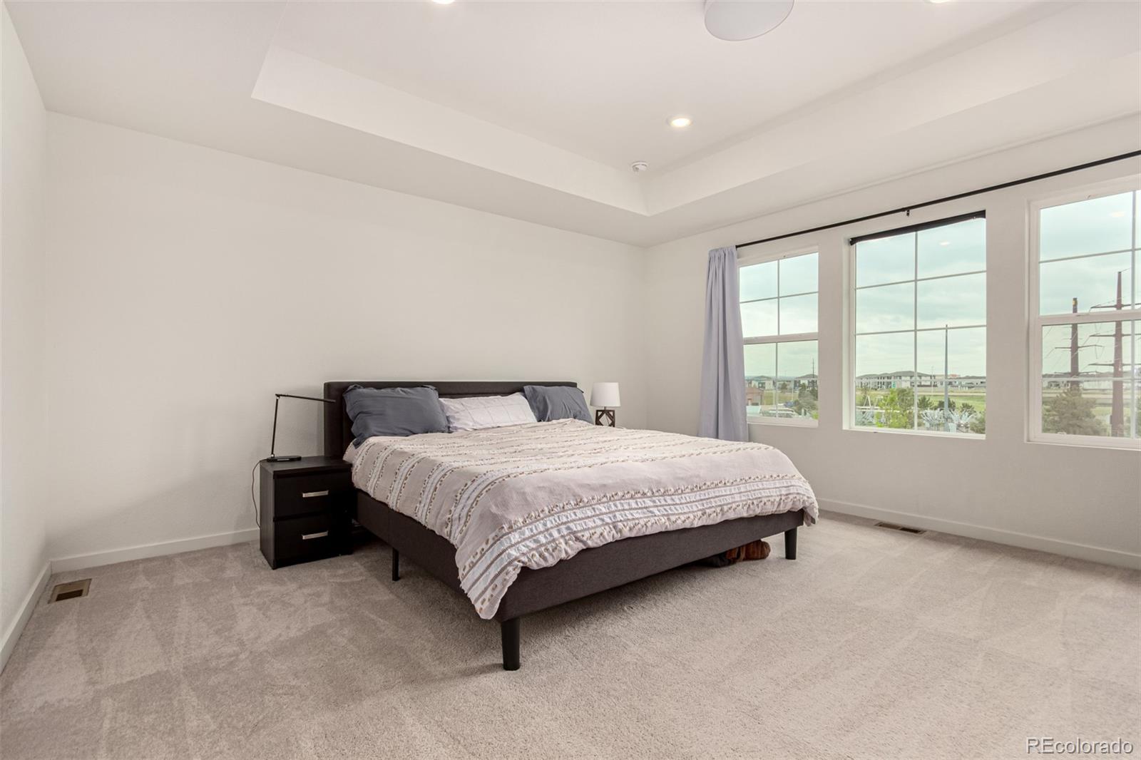 MLS Image #11 for 16432  snowbourn drive,parker, Colorado