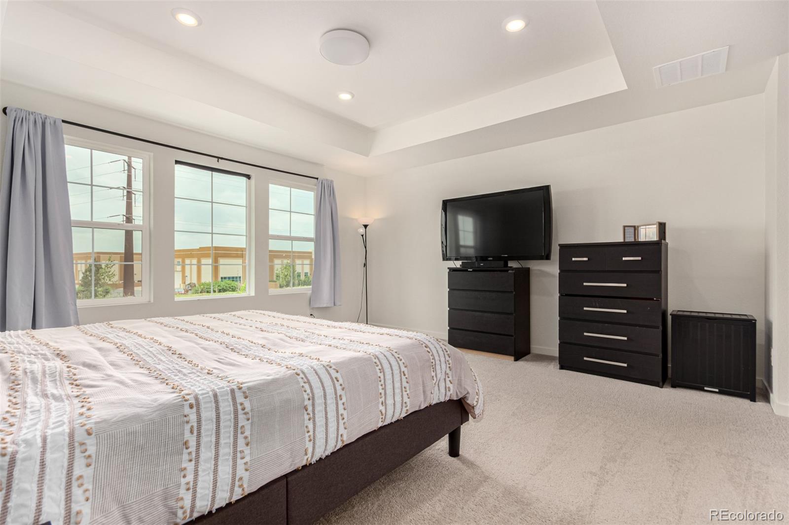 MLS Image #12 for 16432  snowbourn drive,parker, Colorado