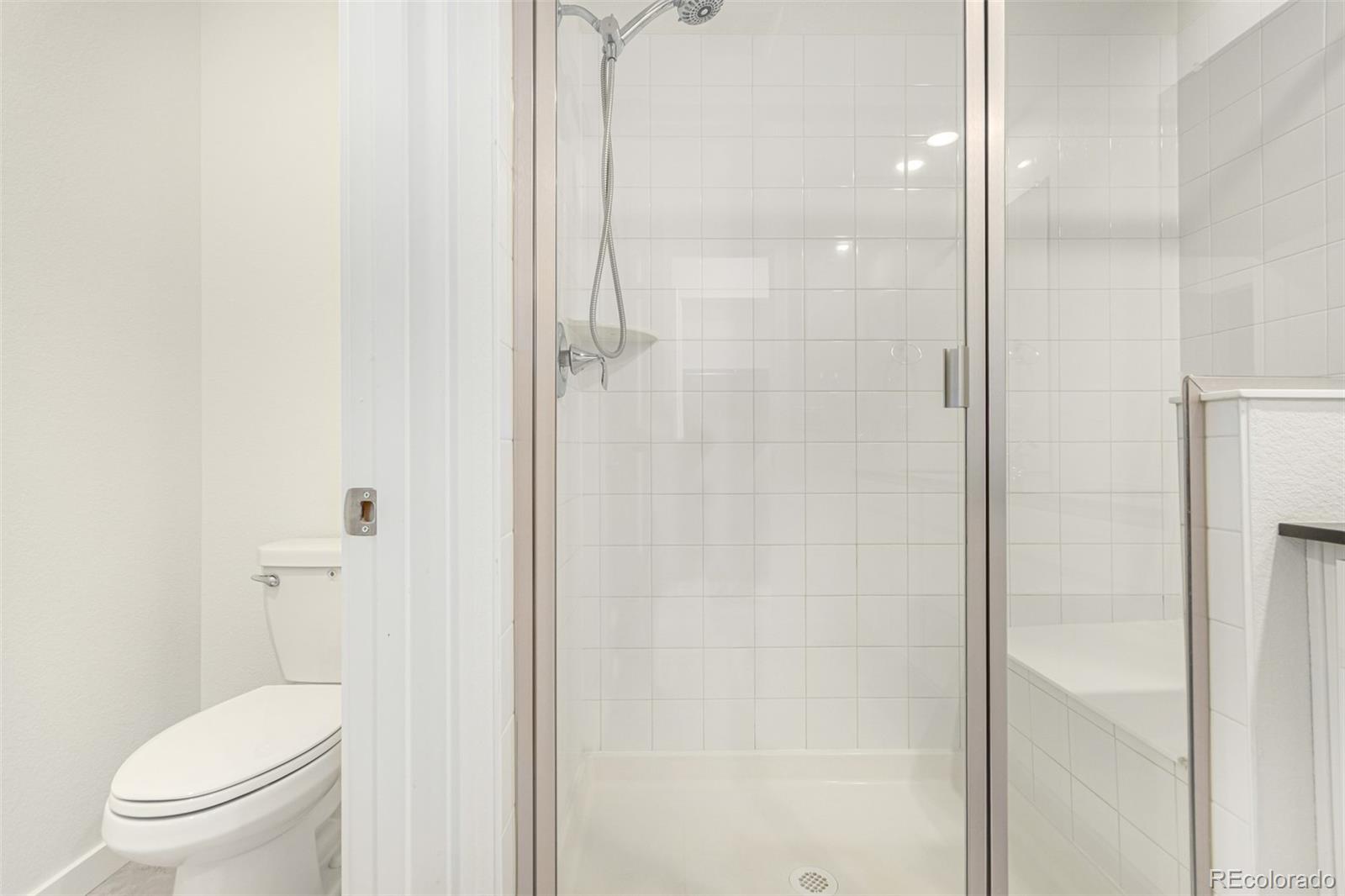 MLS Image #14 for 16432  snowbourn drive,parker, Colorado