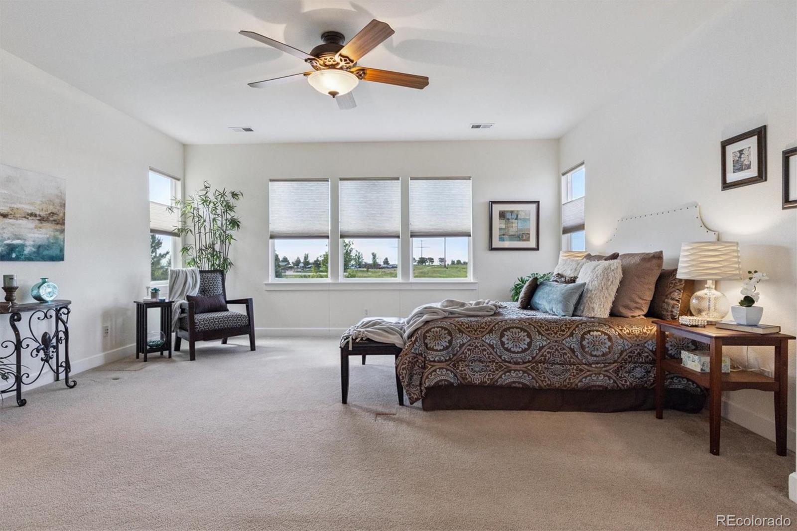 MLS Image #24 for 5605  killen avenue,castle rock, Colorado
