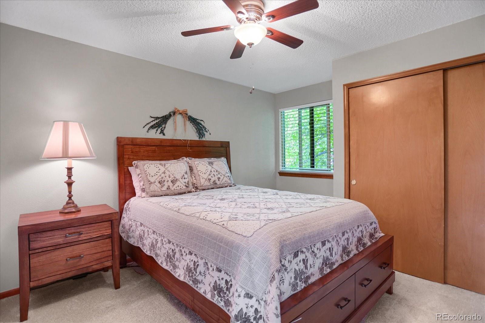 MLS Image #20 for 6112  alkire court,arvada, Colorado