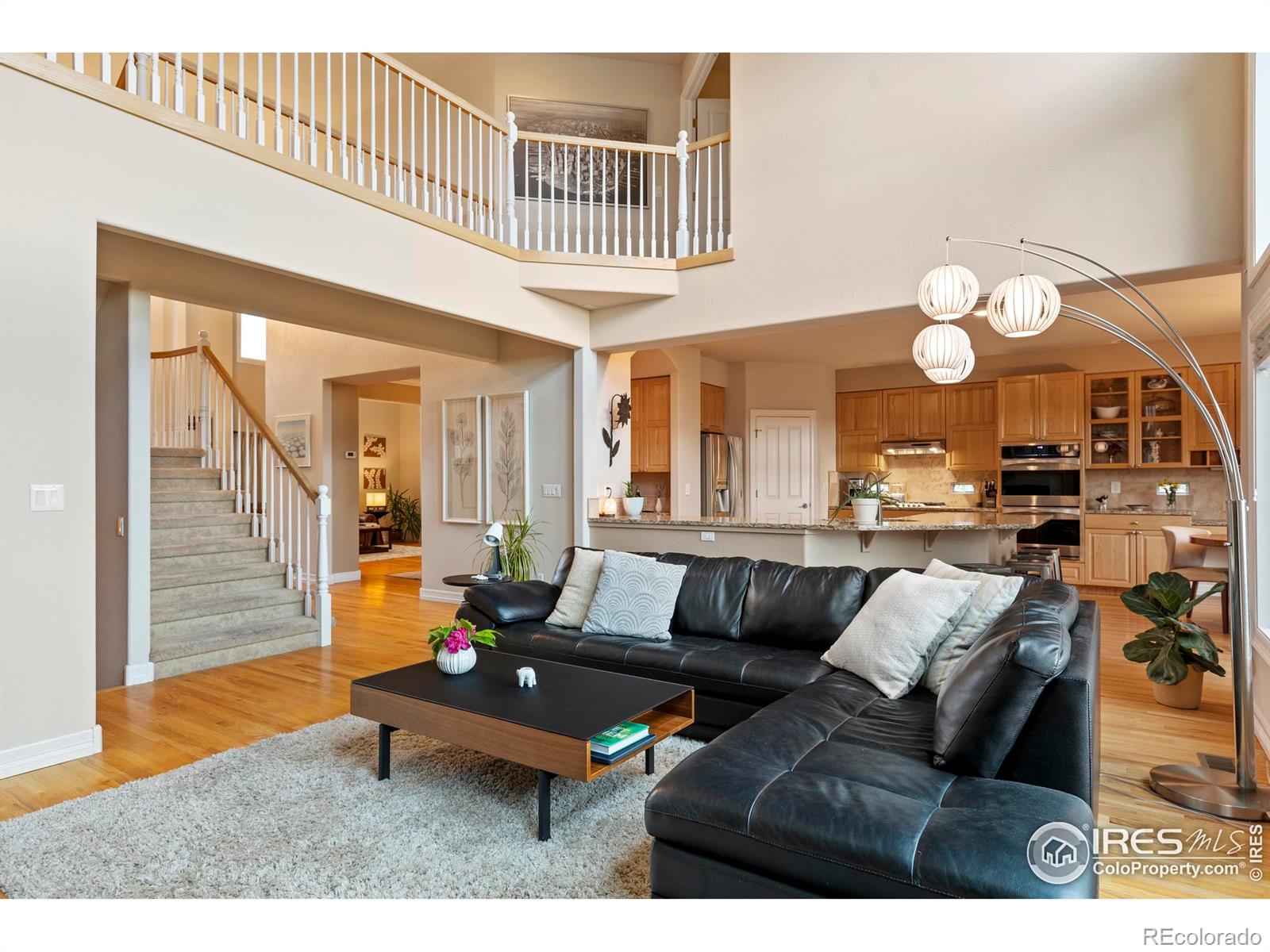 MLS Image #10 for 4502  red fox road,fort collins, Colorado