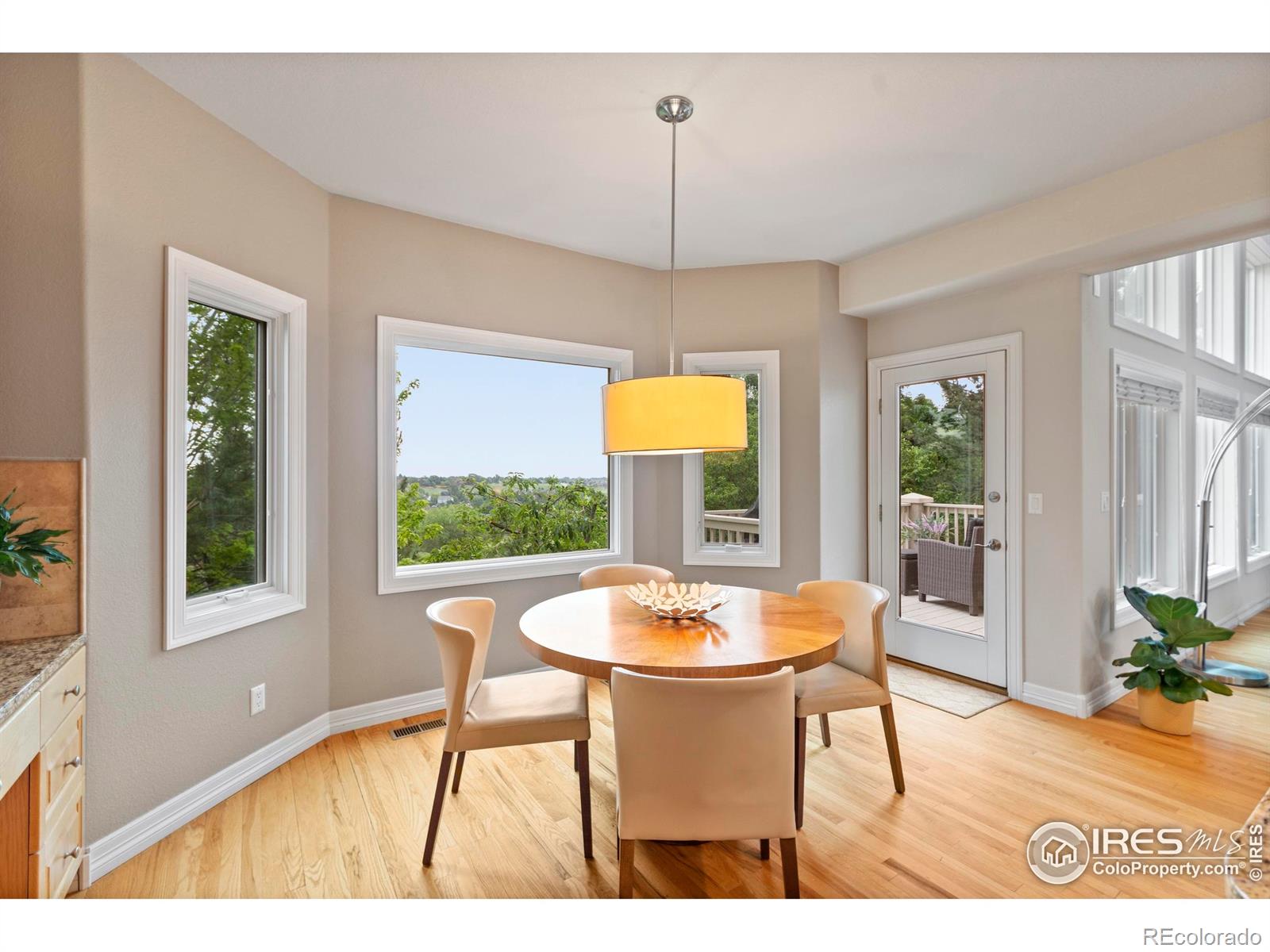 MLS Image #15 for 4502  red fox road,fort collins, Colorado