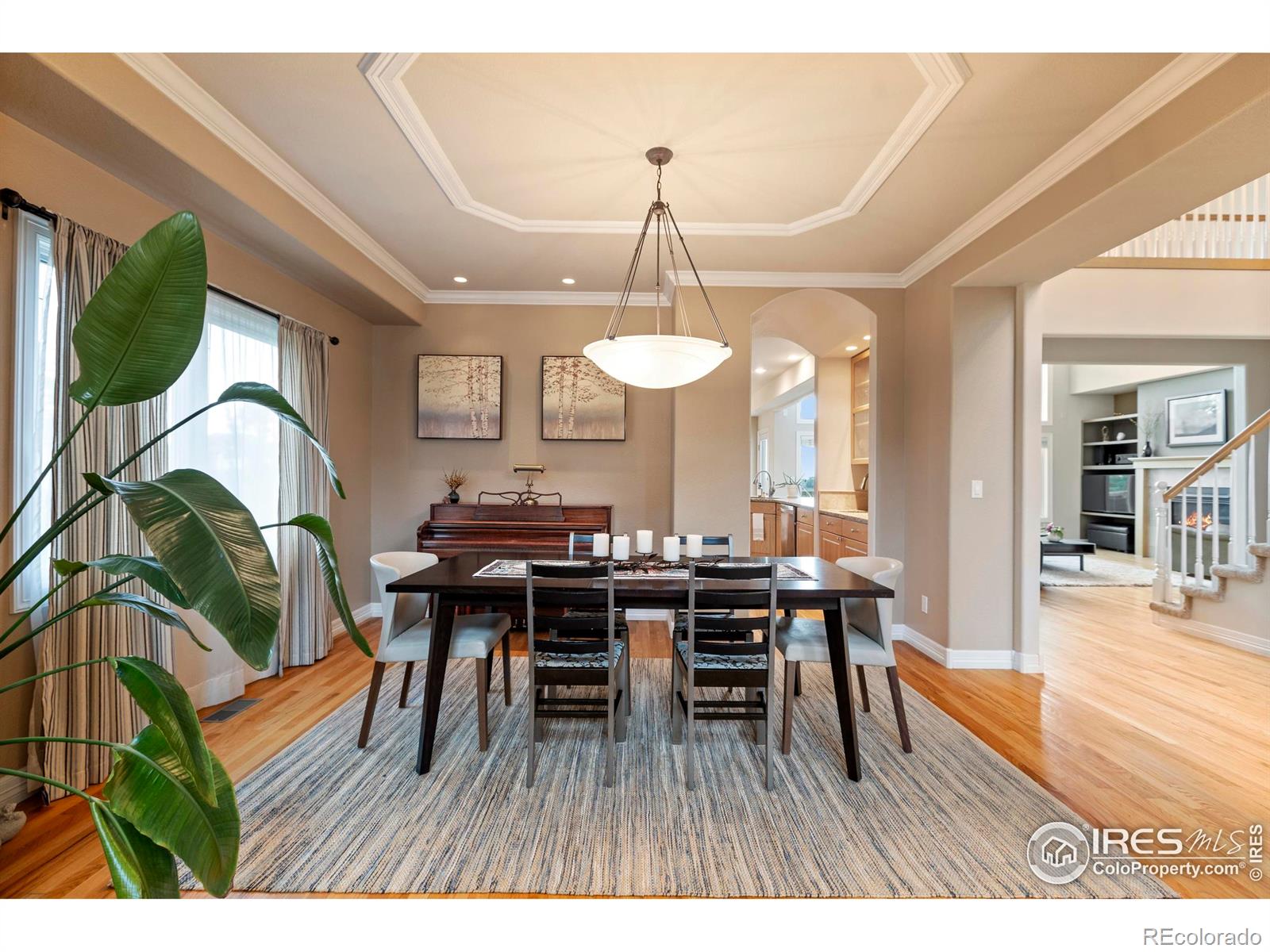 MLS Image #5 for 4502  red fox road,fort collins, Colorado