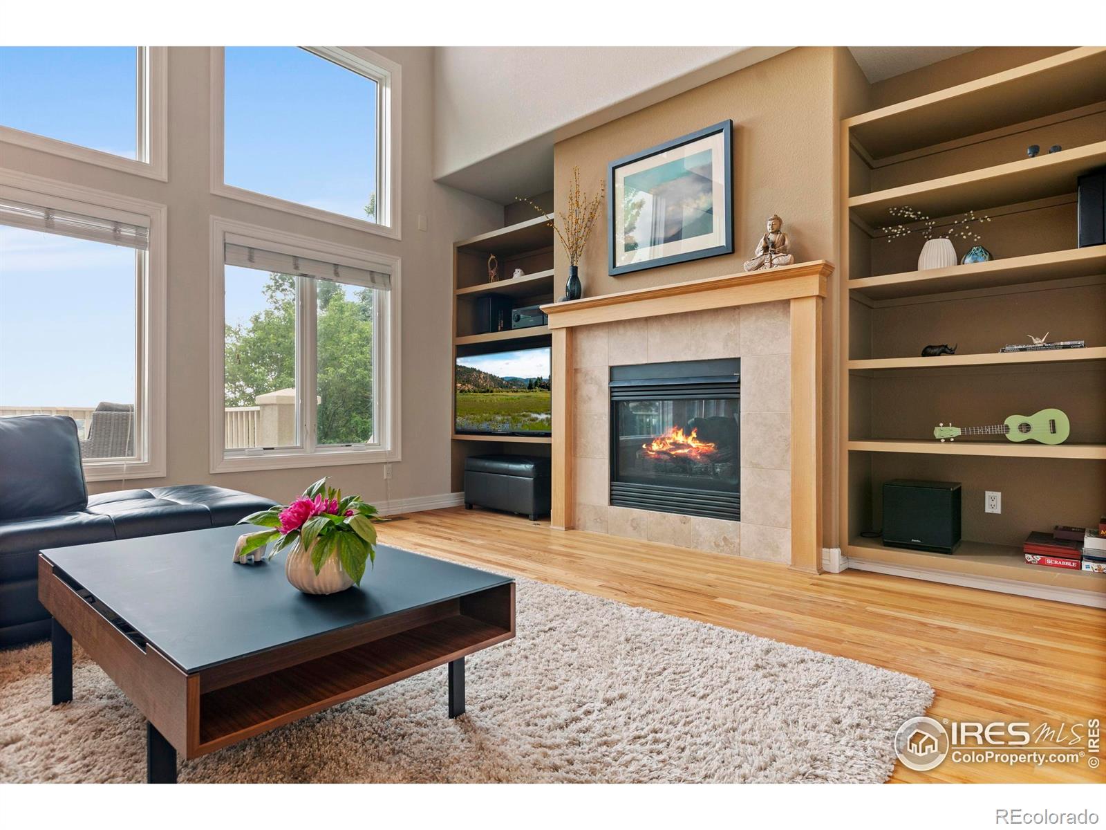MLS Image #9 for 4502  red fox road,fort collins, Colorado