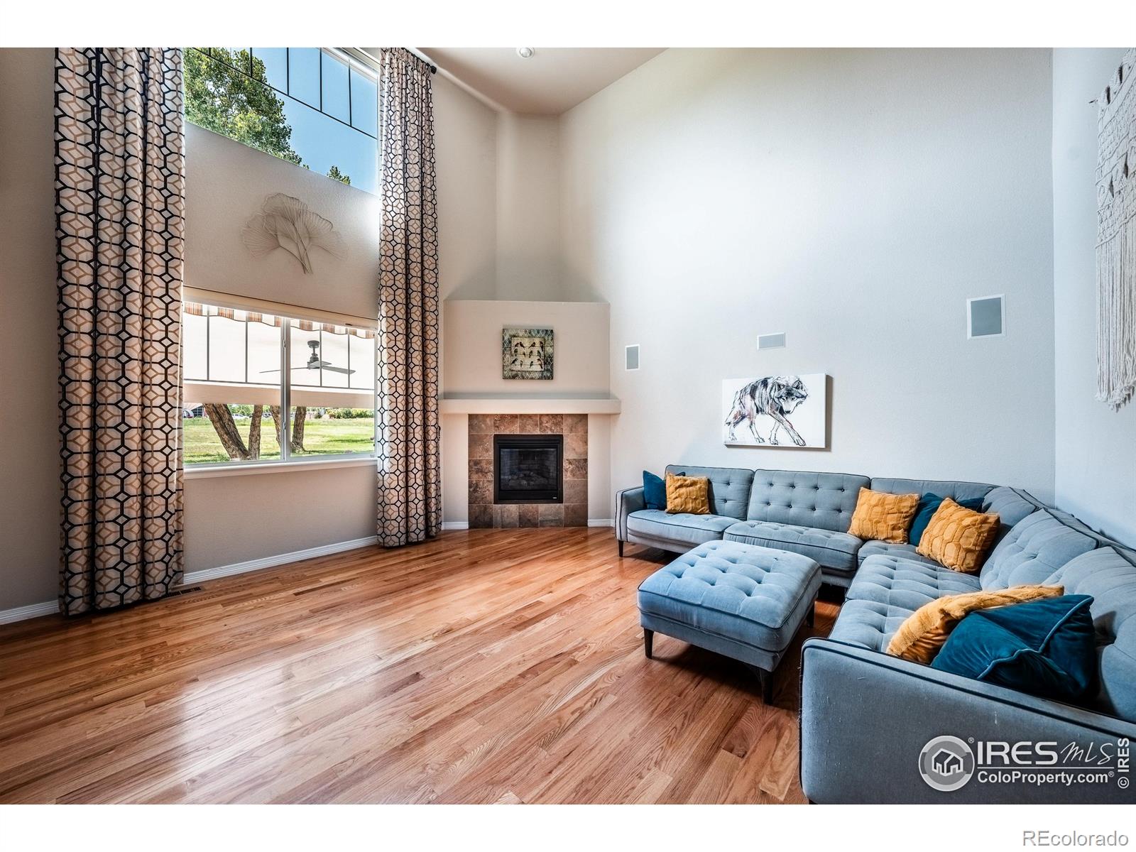 MLS Image #7 for 1873  trevor circle,longmont, Colorado