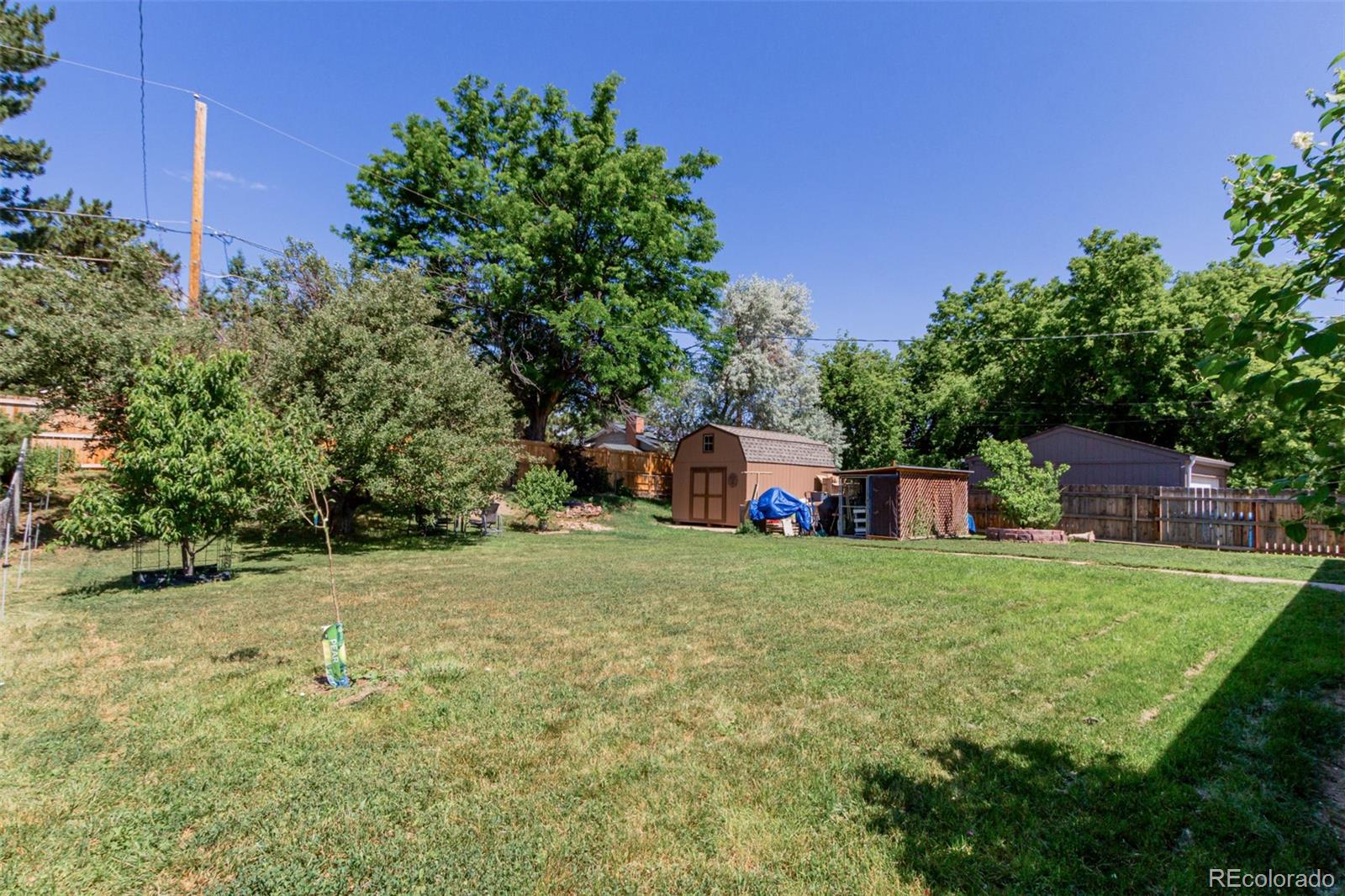 MLS Image #5 for 6043 s cody way,littleton, Colorado