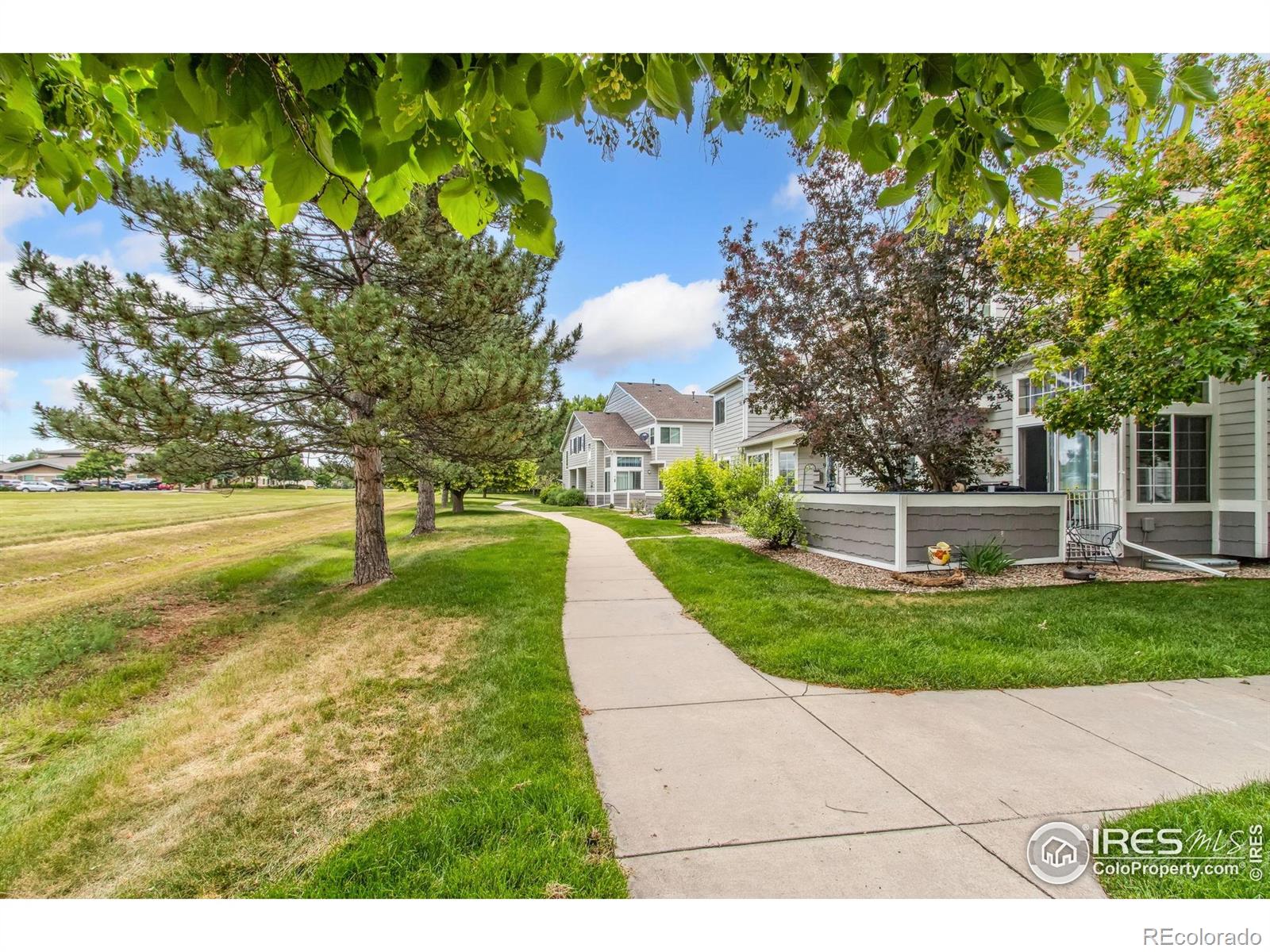 MLS Image #23 for 2502  timberwood drive,fort collins, Colorado