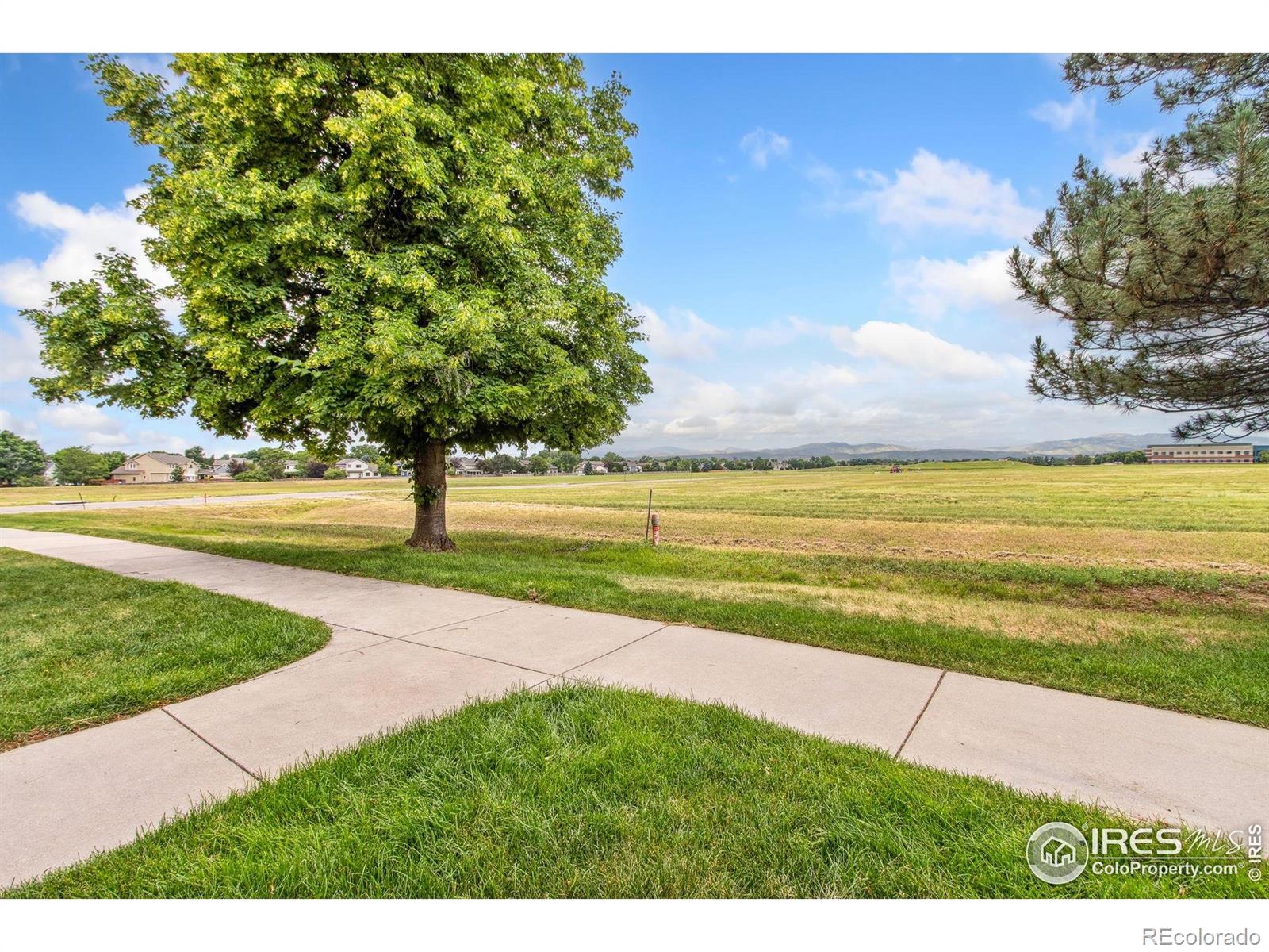 MLS Image #24 for 2502  timberwood drive,fort collins, Colorado