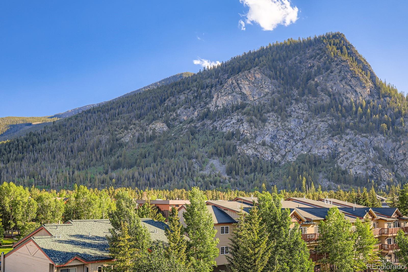 MLS Image #34 for 190  galena street,frisco, Colorado